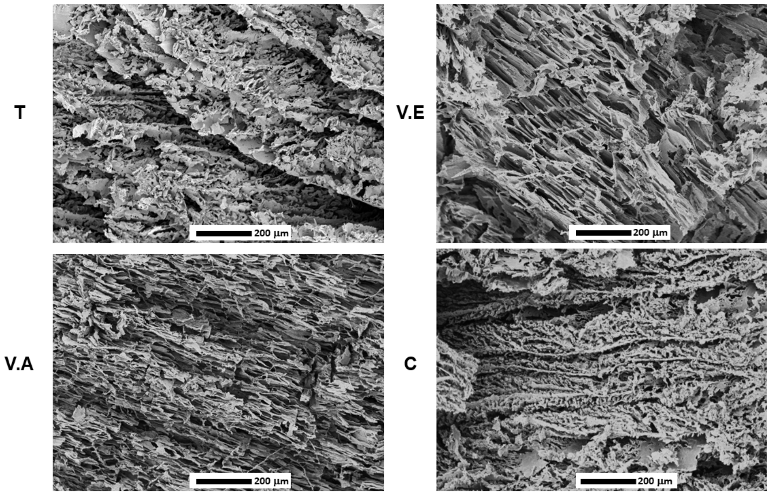 Biomimetics 09 00497 g007