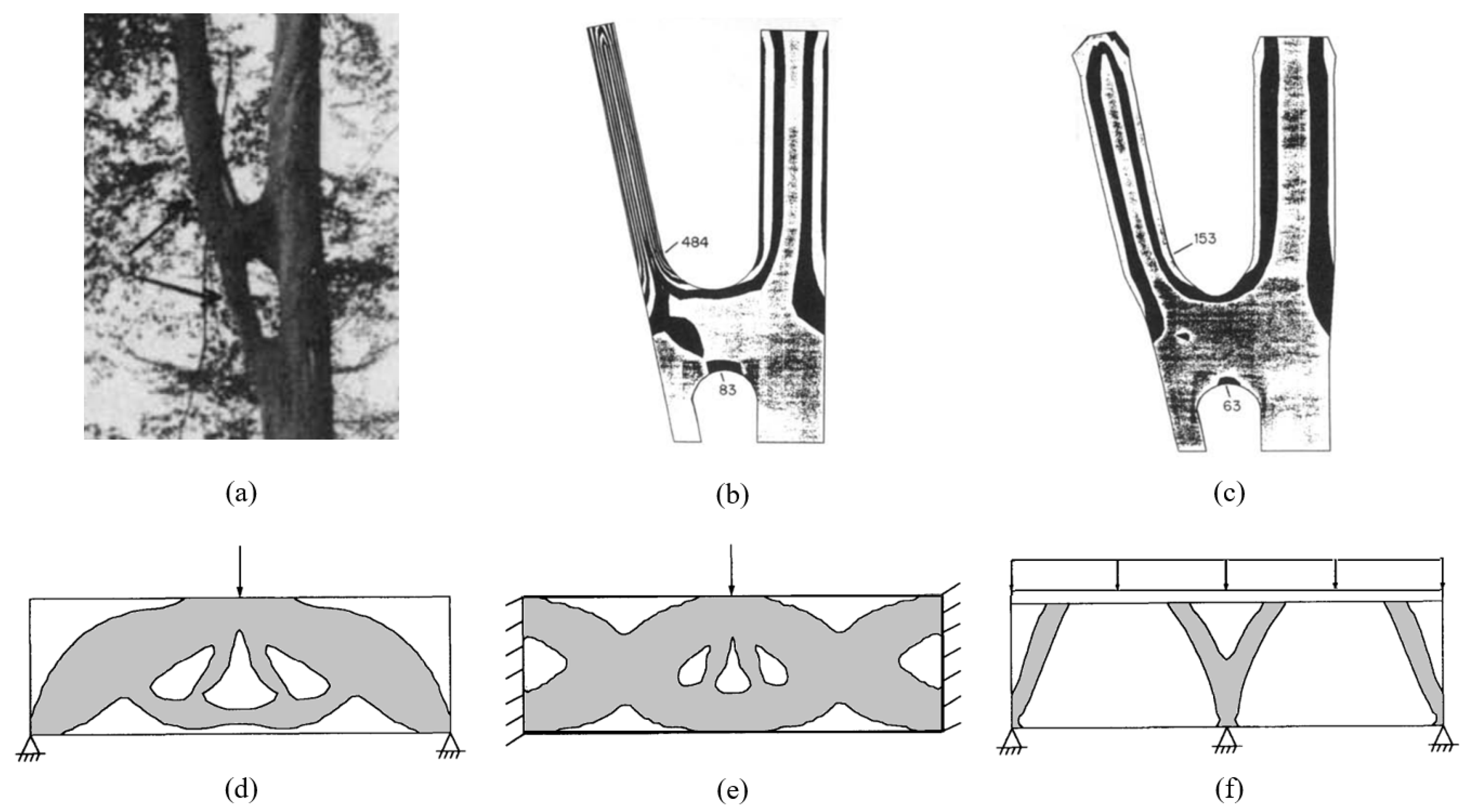Biomimetics 09 00545 g009