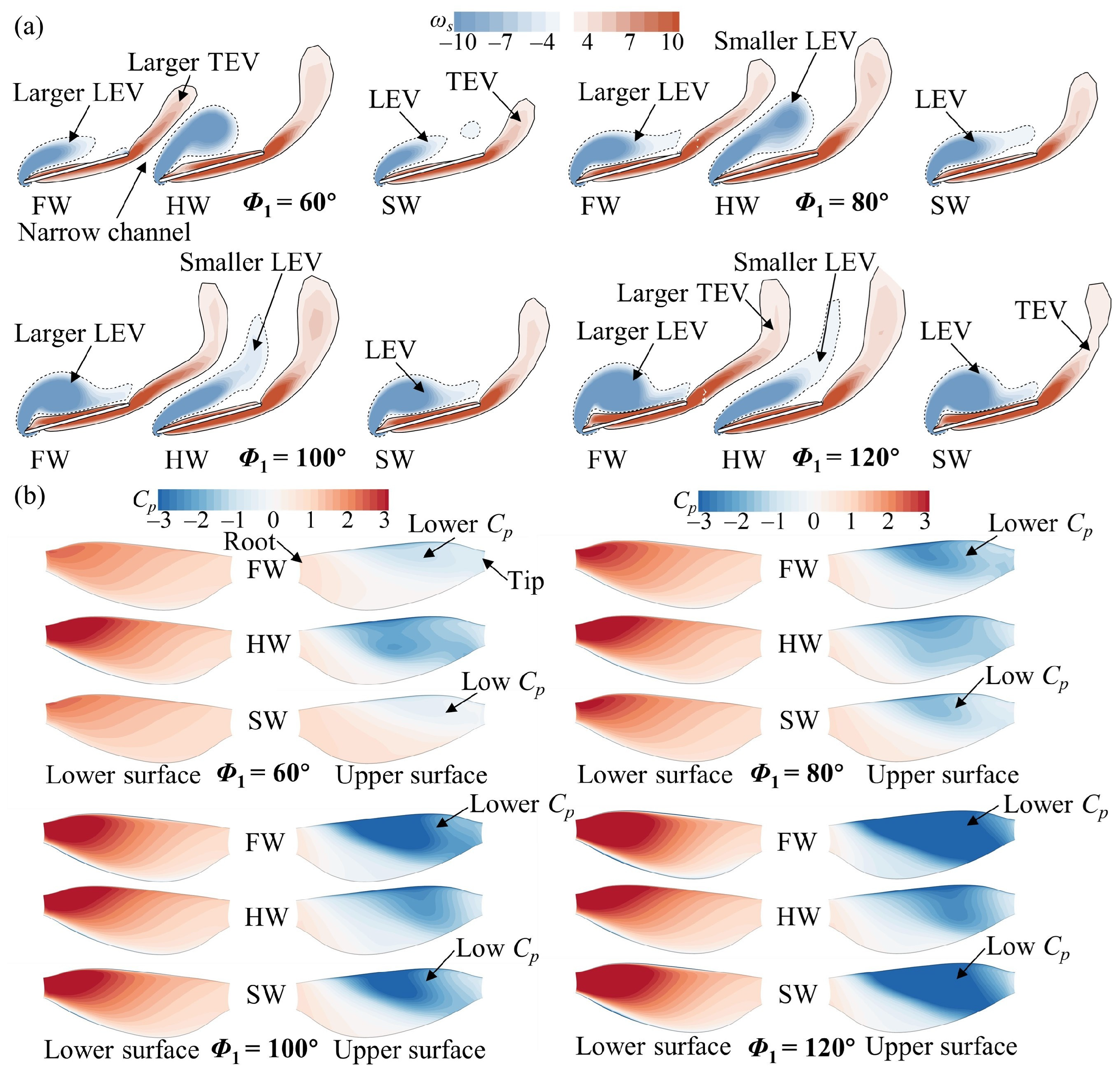 Biomimetics 09 00565 g007