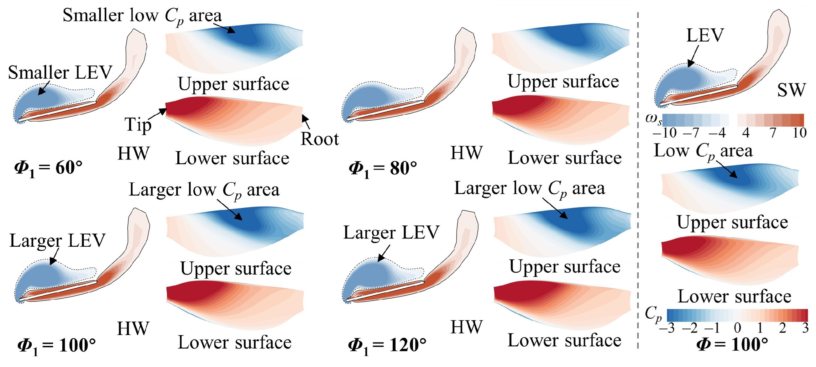 Biomimetics 09 00565 g010