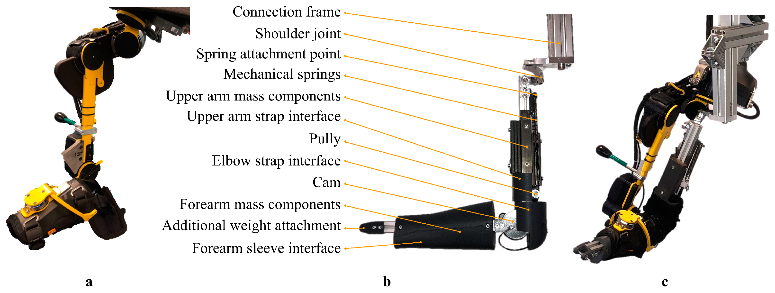 Biomimetics 09 00579 g001