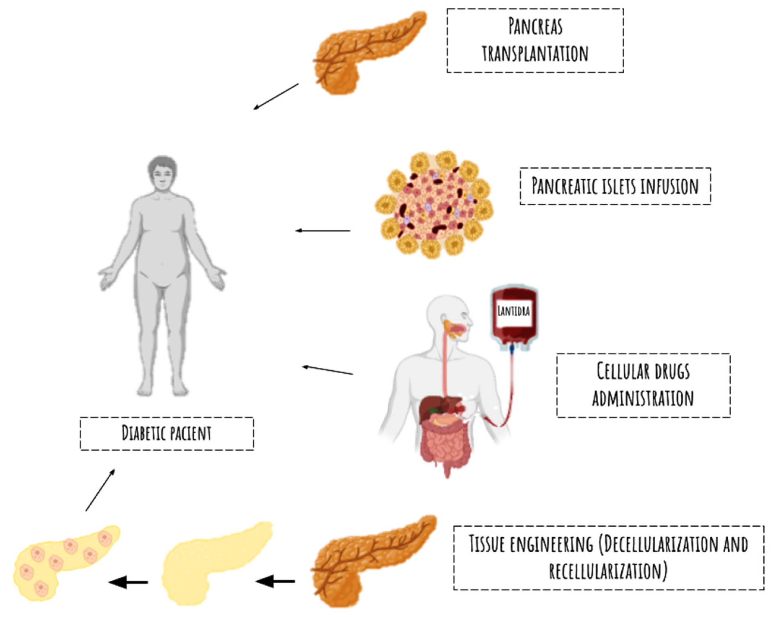 Biomimetics 09 00598 g002