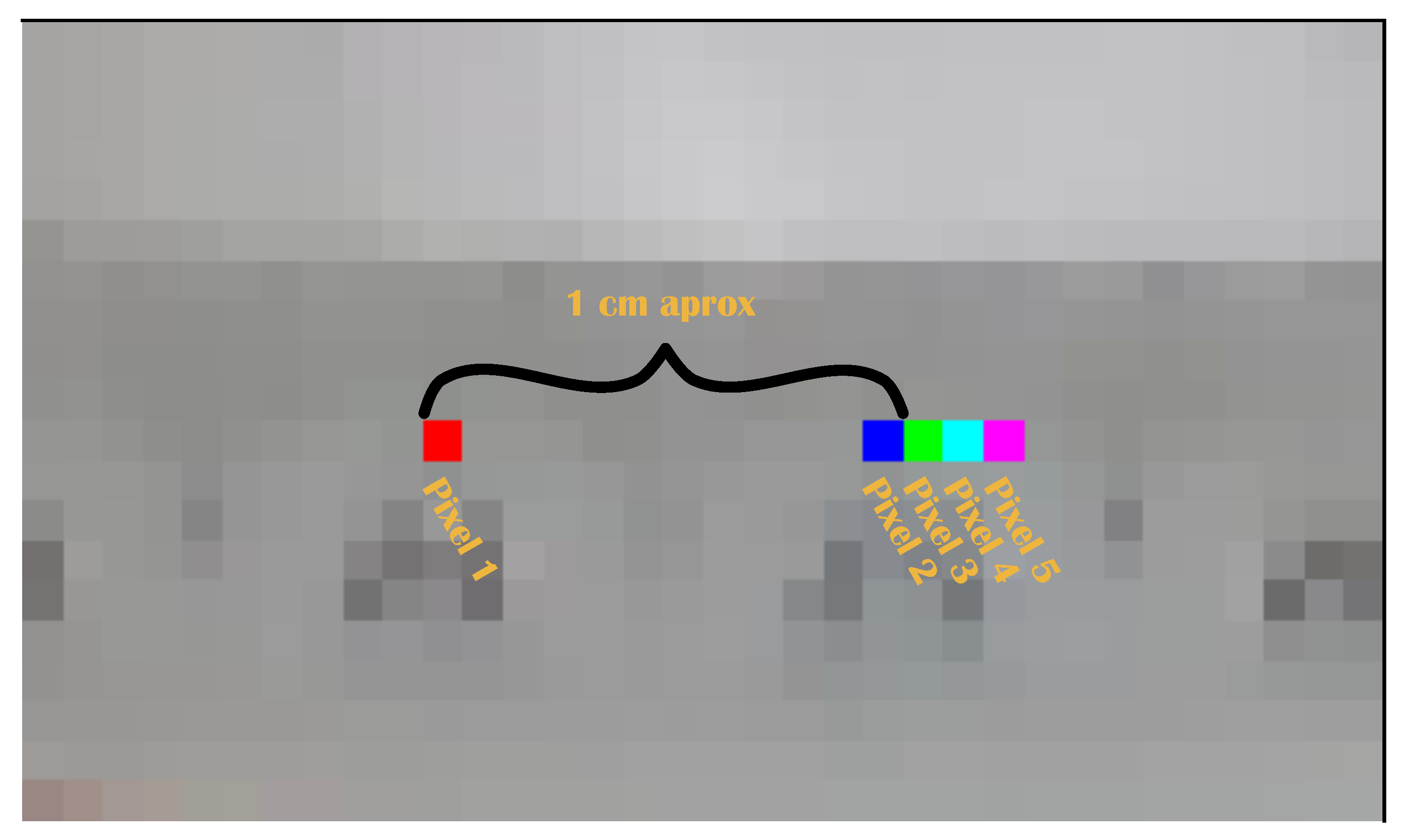 Biomimetics 09 00610 g005