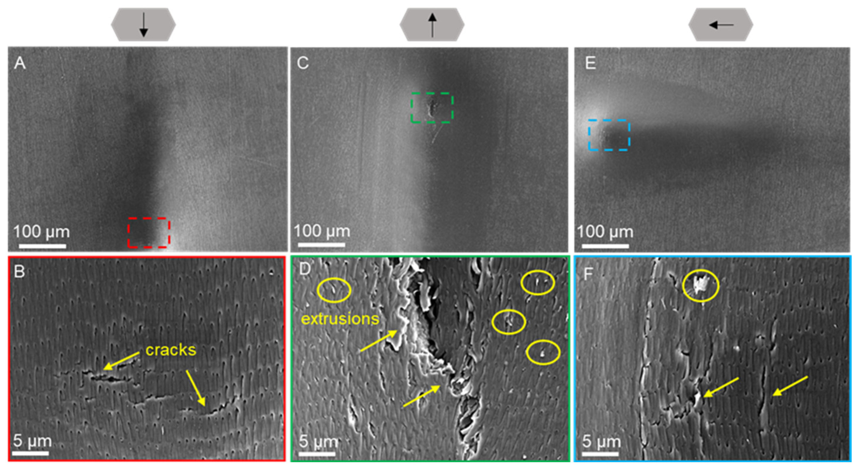 Biomimetics 09 00617 g008