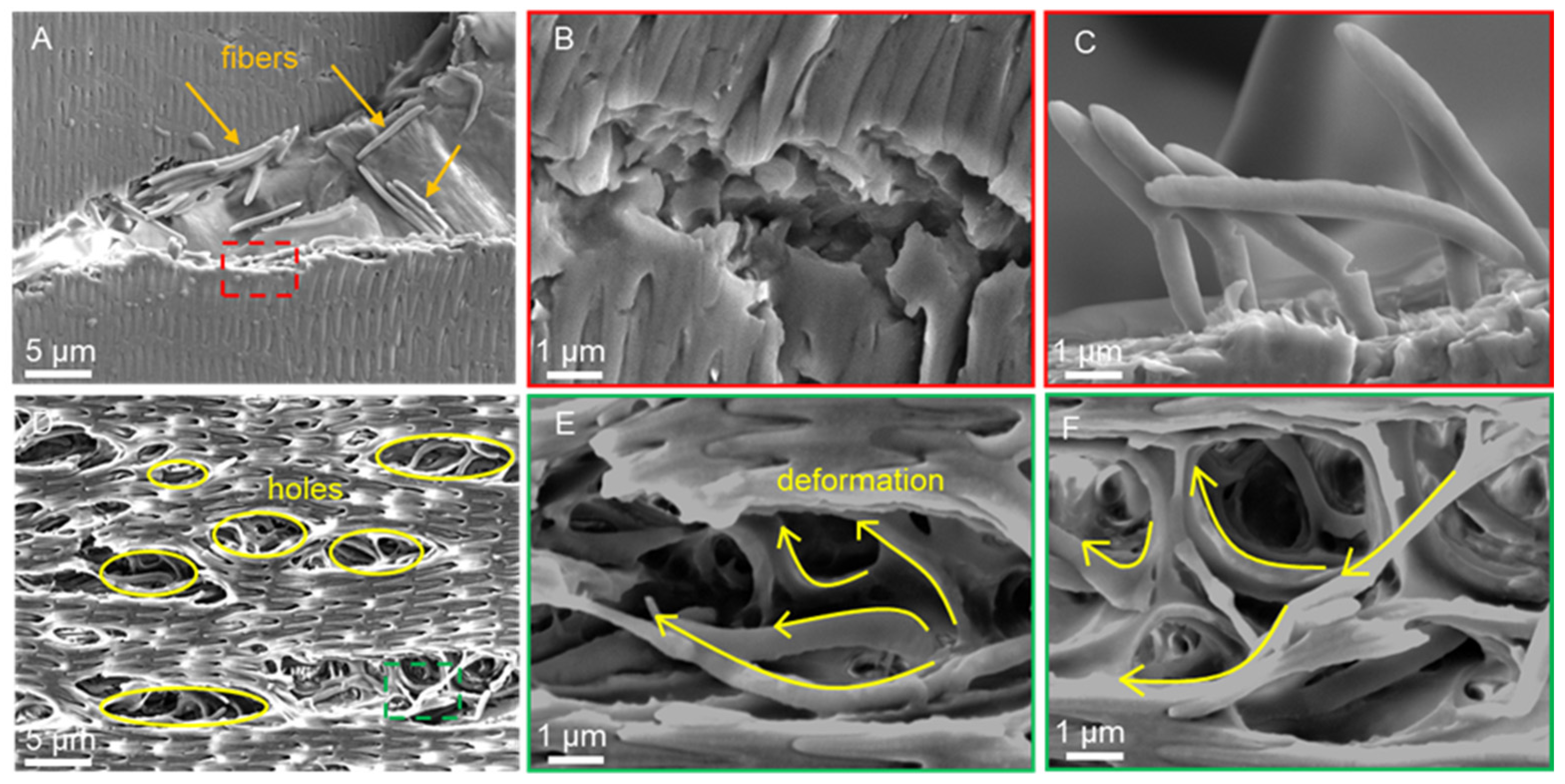 Biomimetics 09 00617 g012
