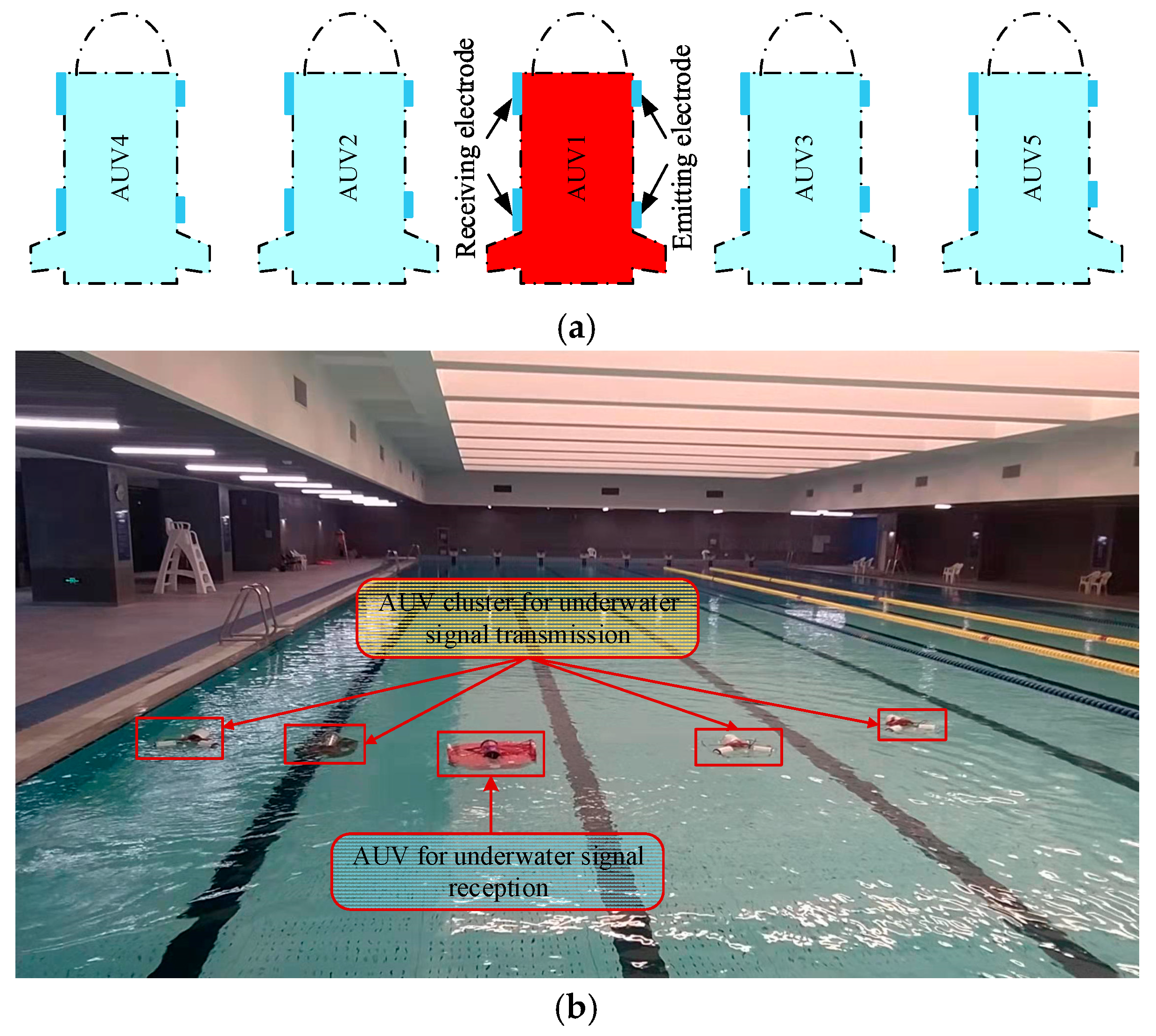 Biomimetics 09 00653 g016