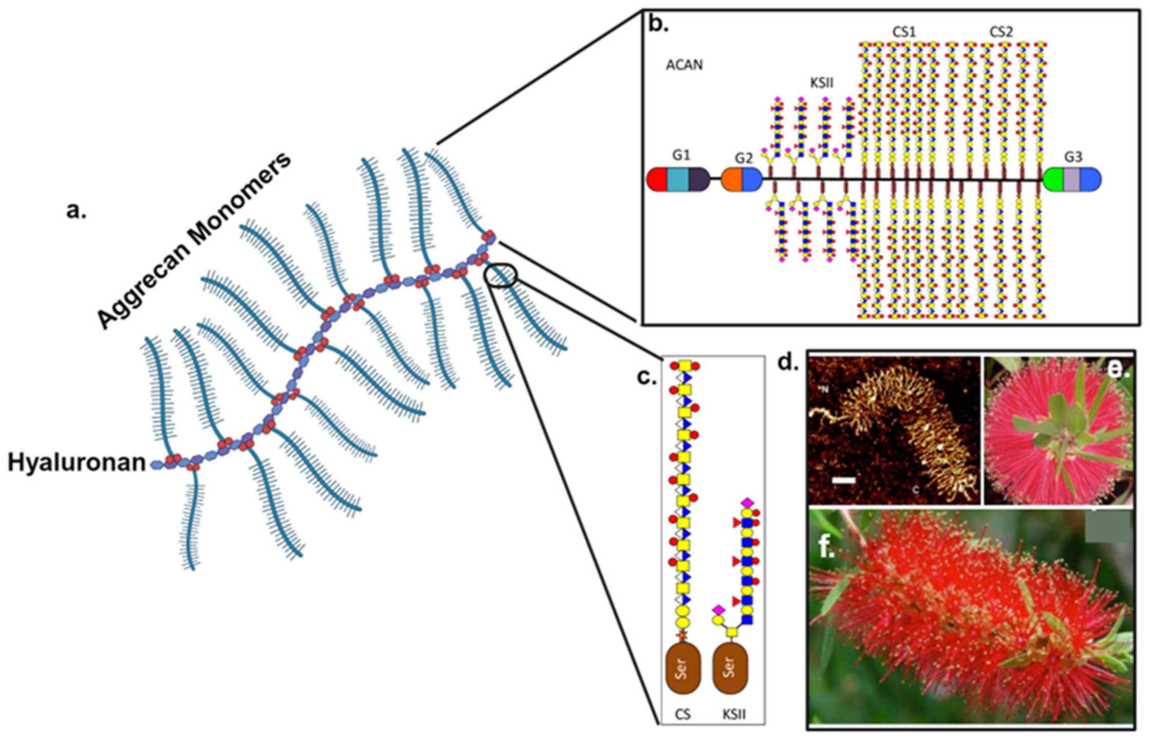 Biomimetics 09 00722 g002