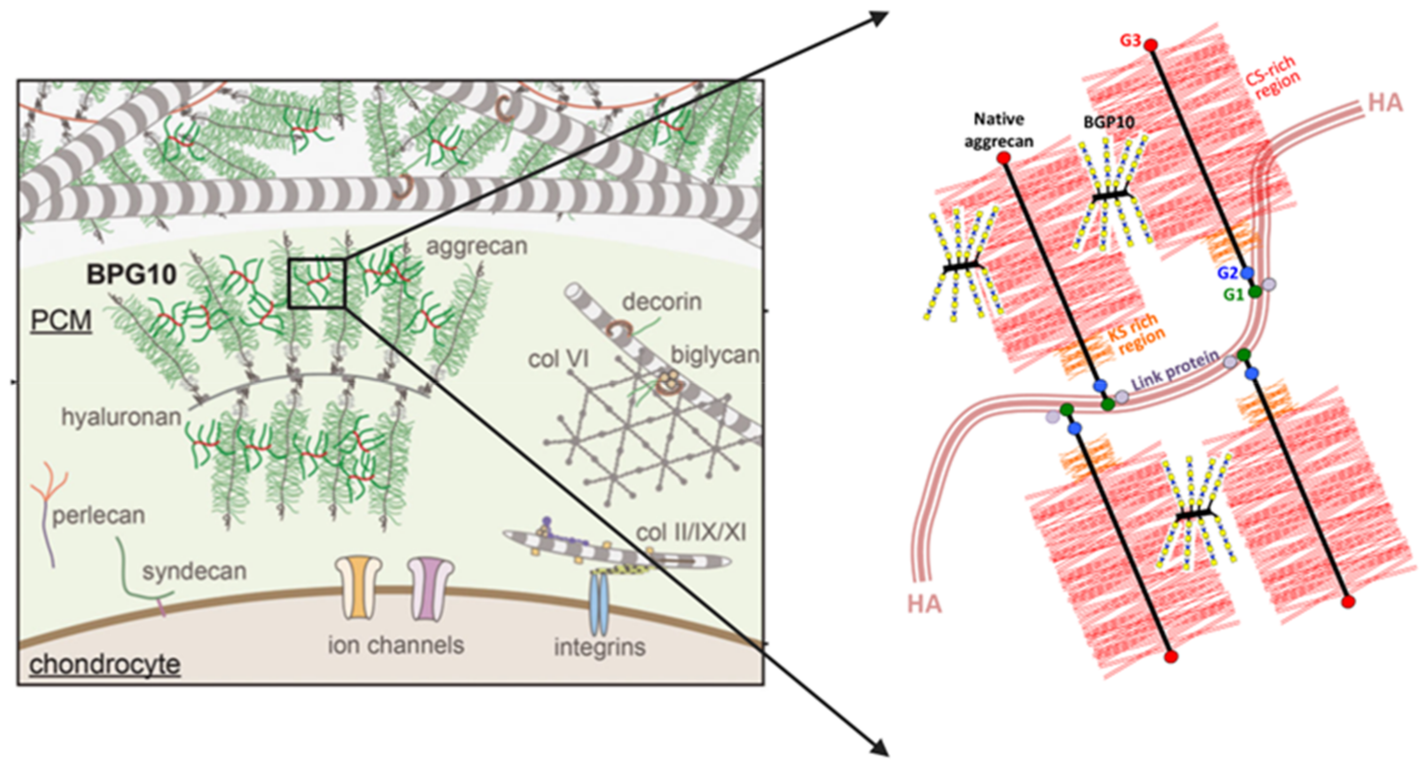 Biomimetics 09 00722 g005