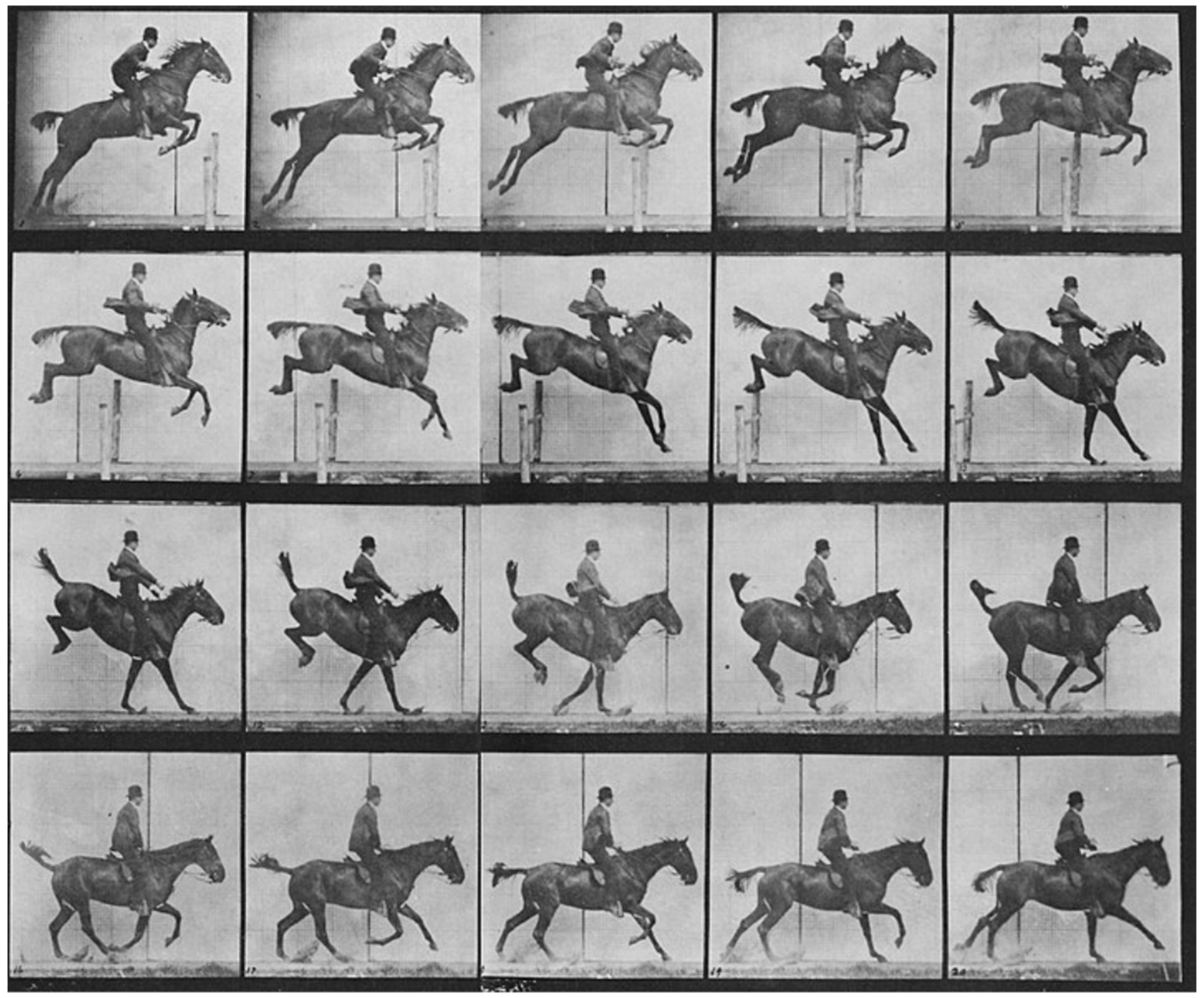 Biomimetics 09 00723 g001