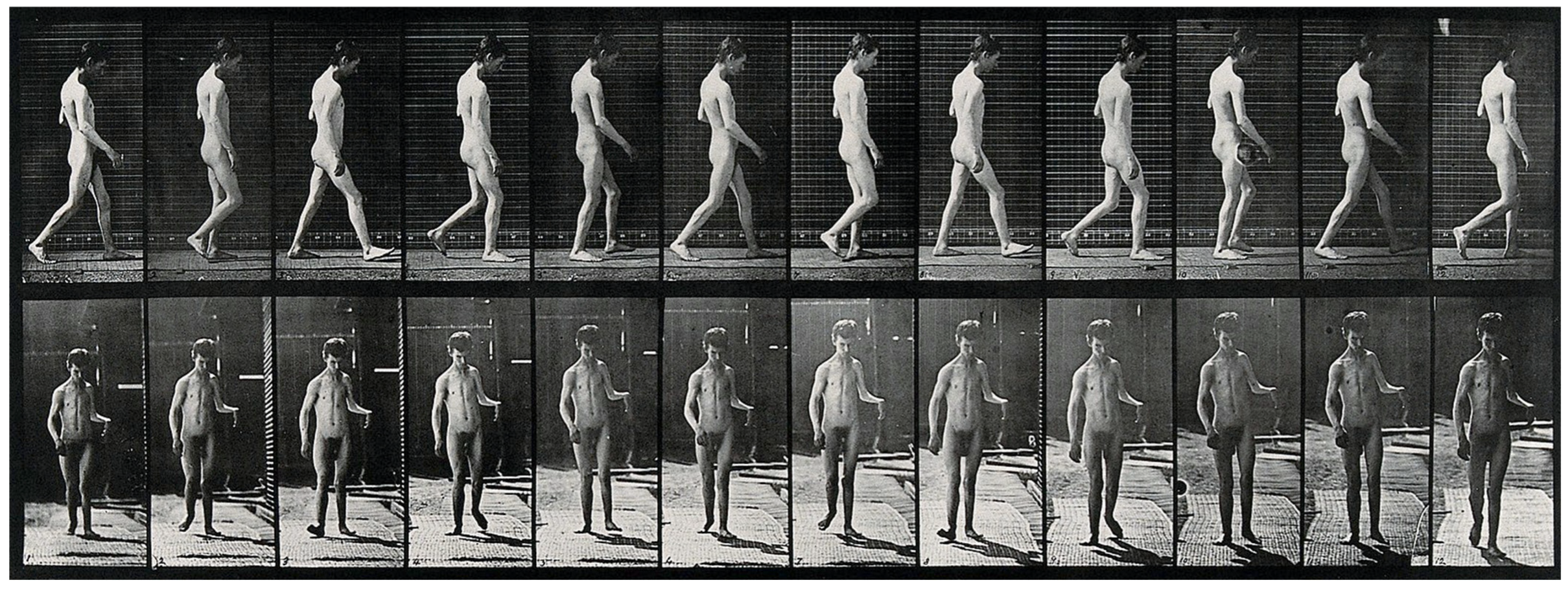 Biomimetics 09 00723 g002