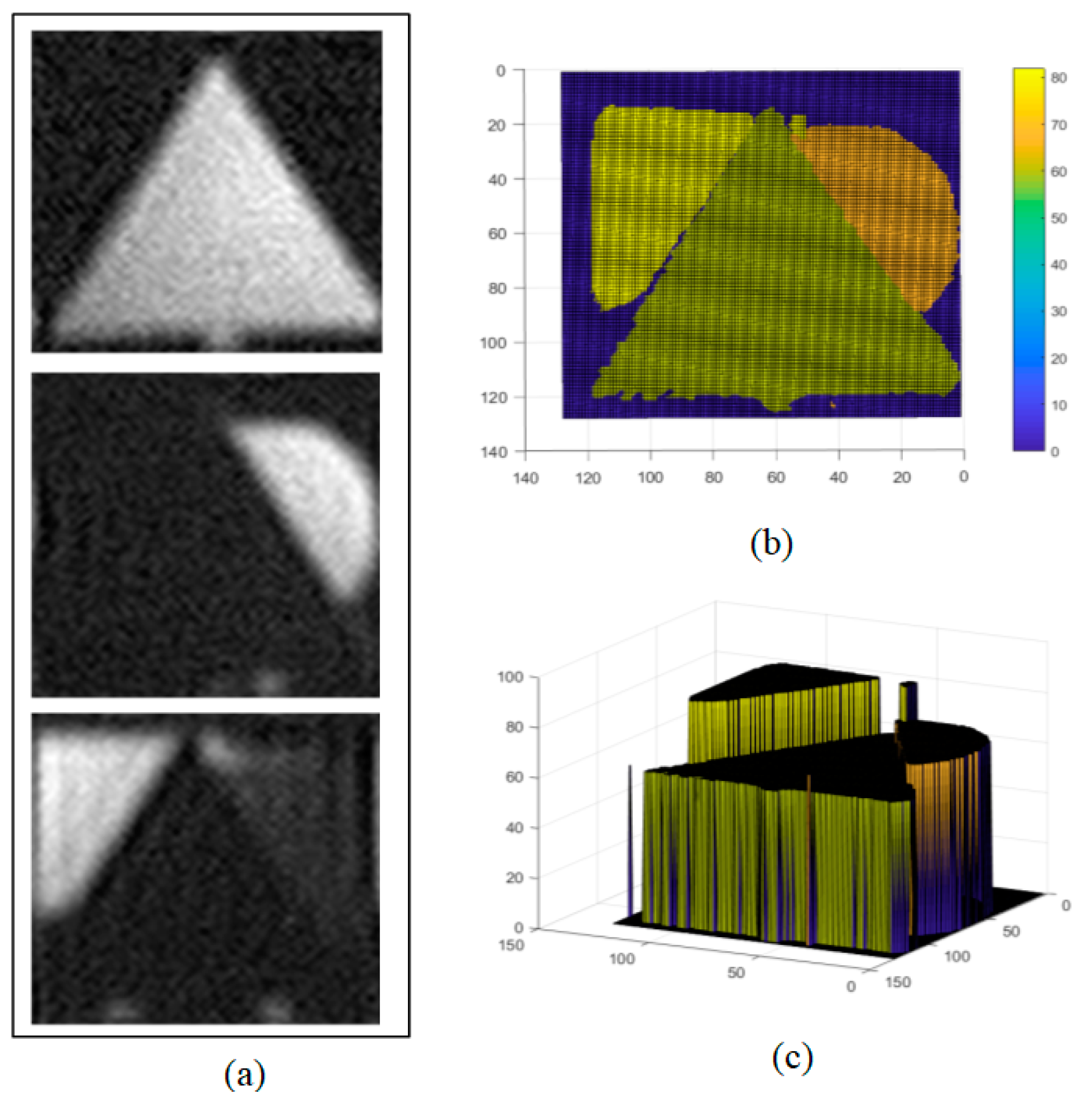 Biomimetics 09 00768 g007