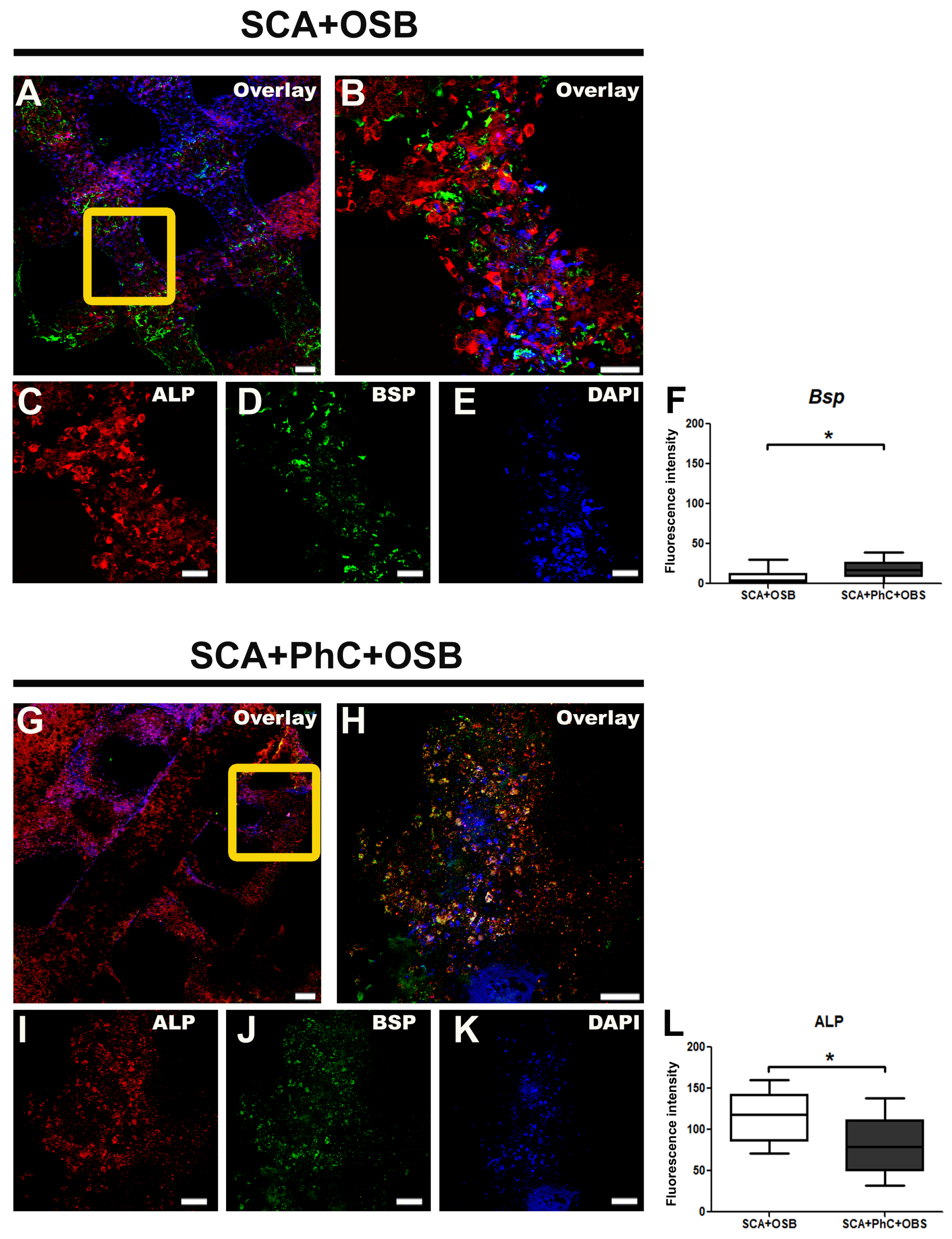 Biomimetics 09 00782 g004