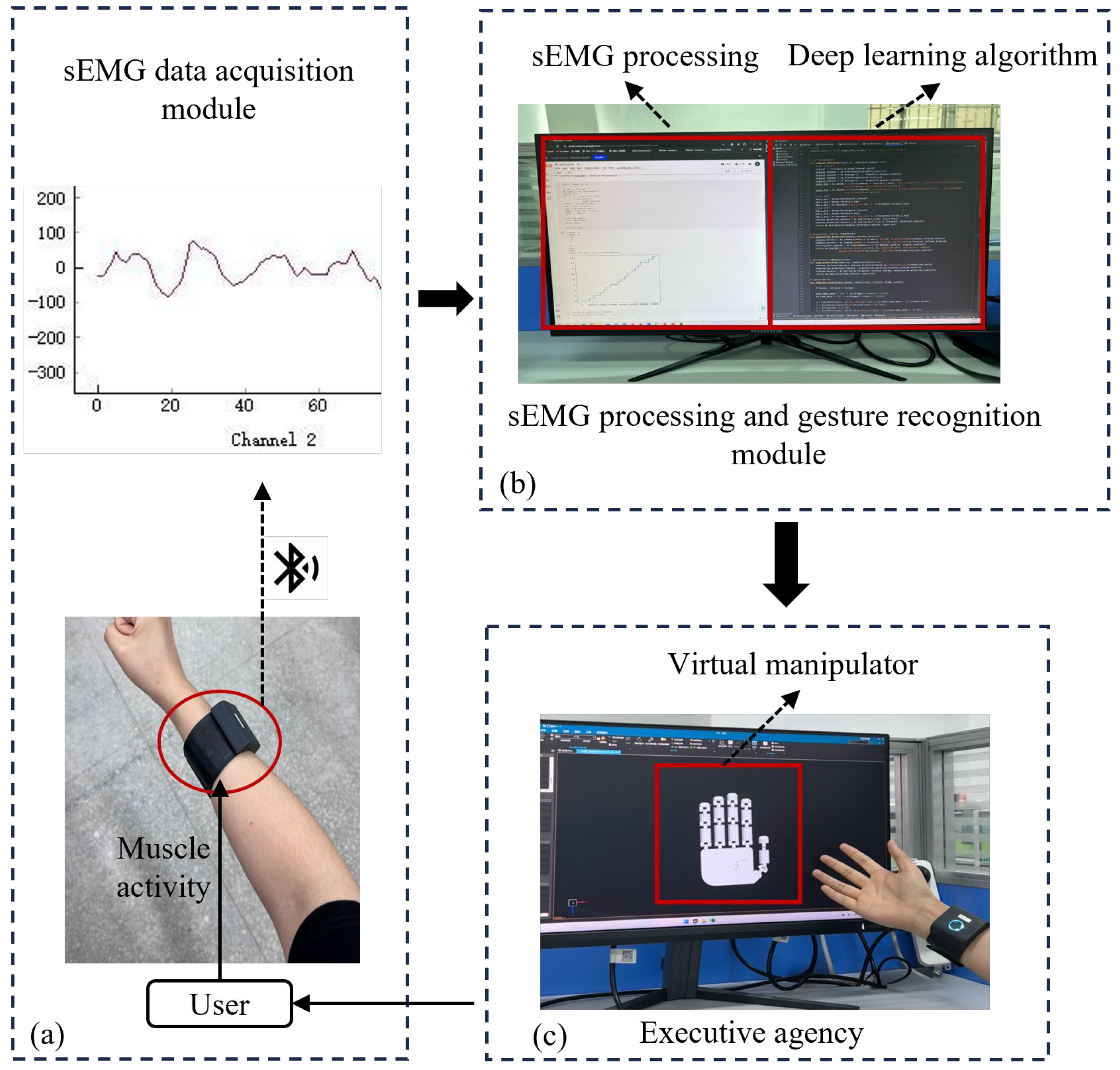 Biomimetics 09 00784 g001