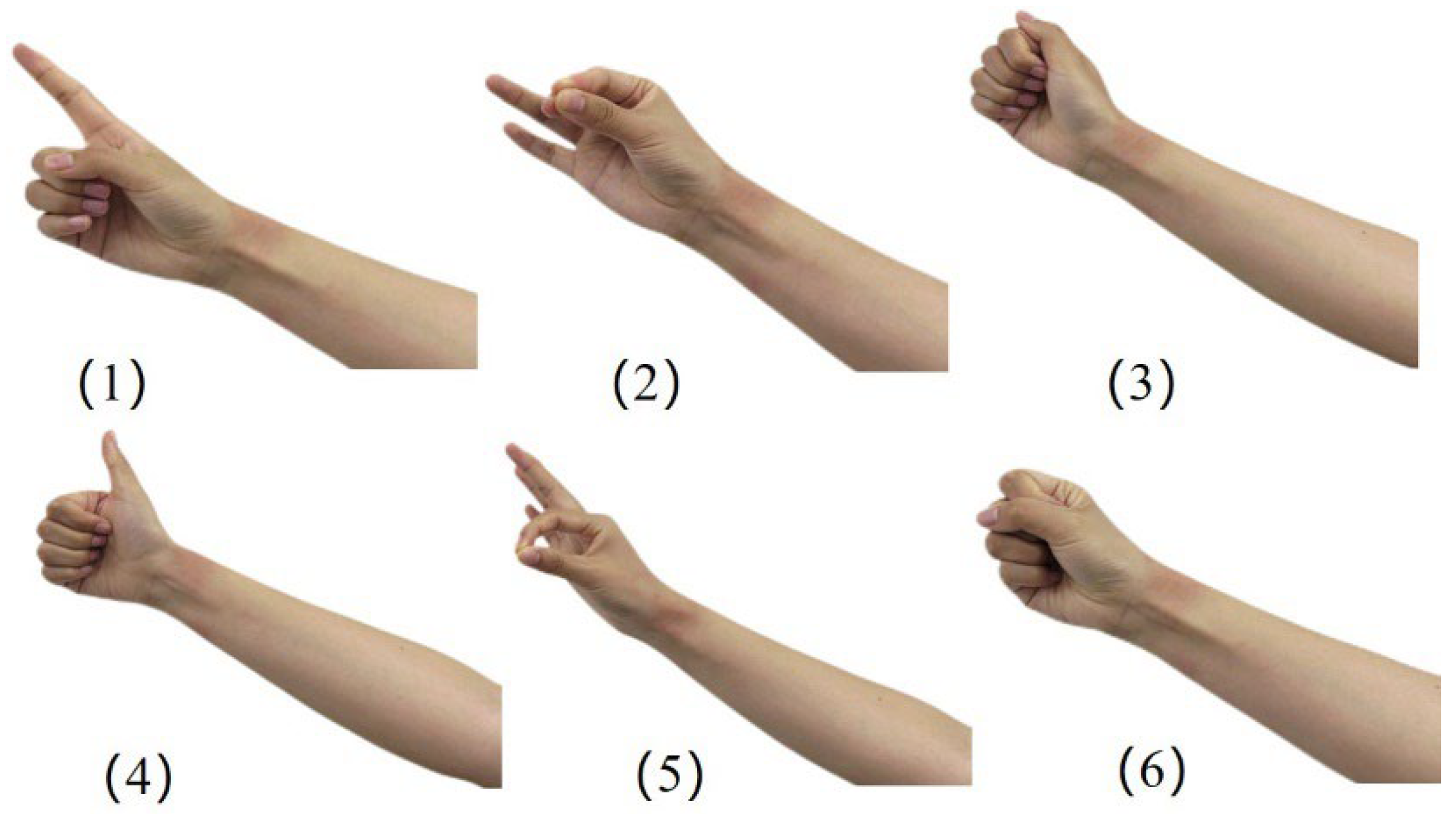 Biomimetics 09 00784 g003