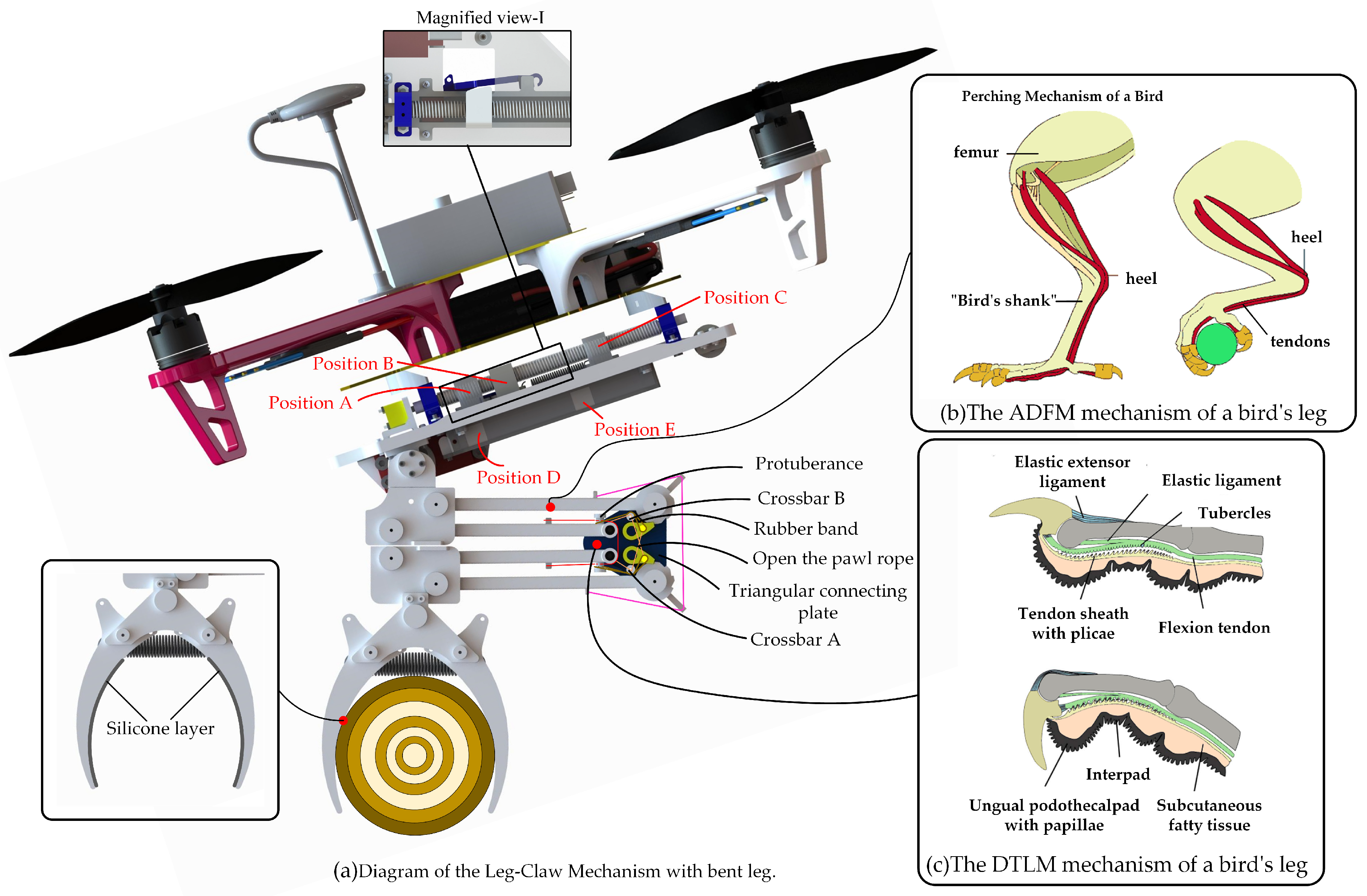 Biomimetics 10 00010 g001