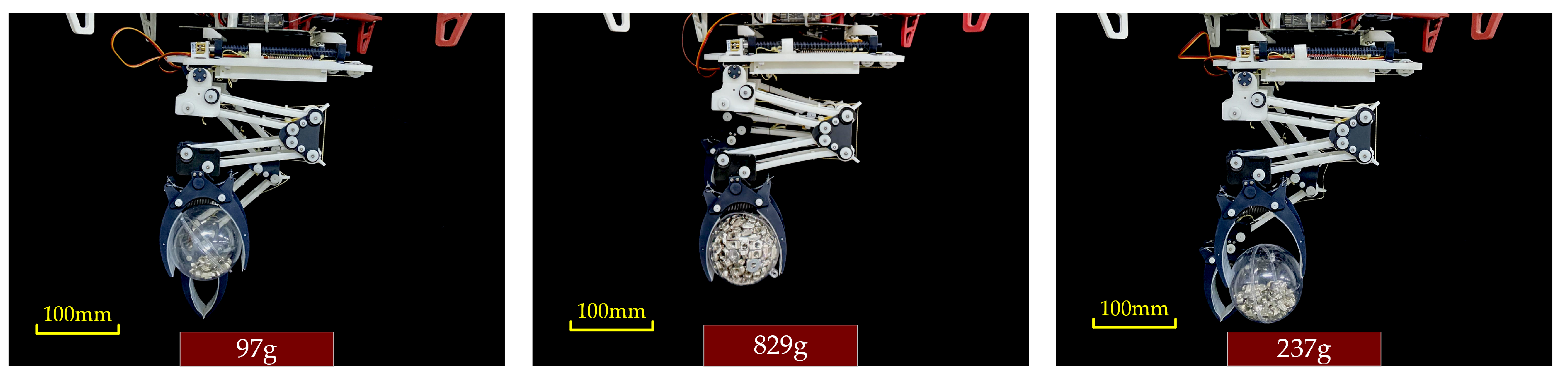 Biomimetics 10 00010 g013