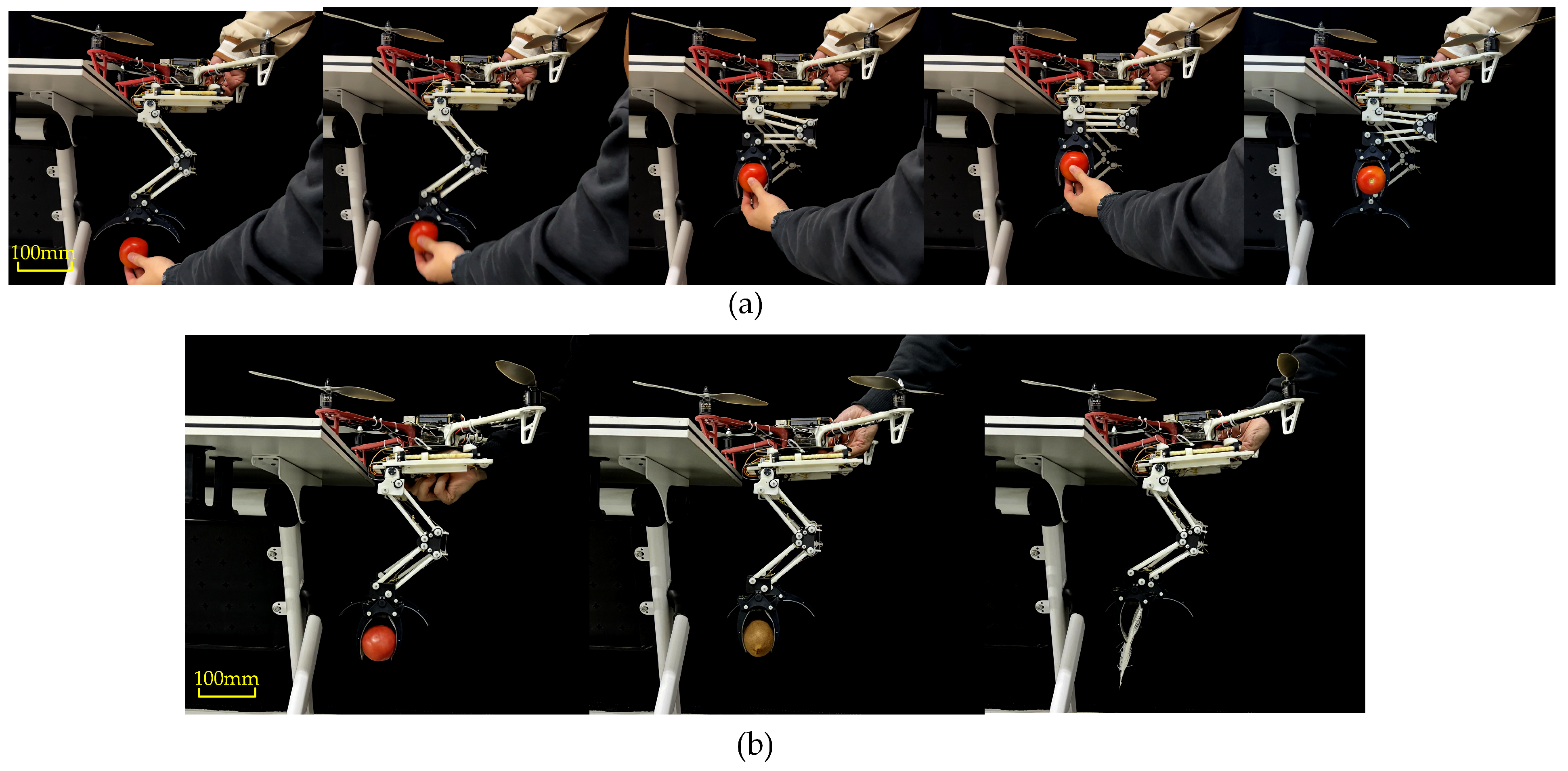 Biomimetics 10 00010 g016