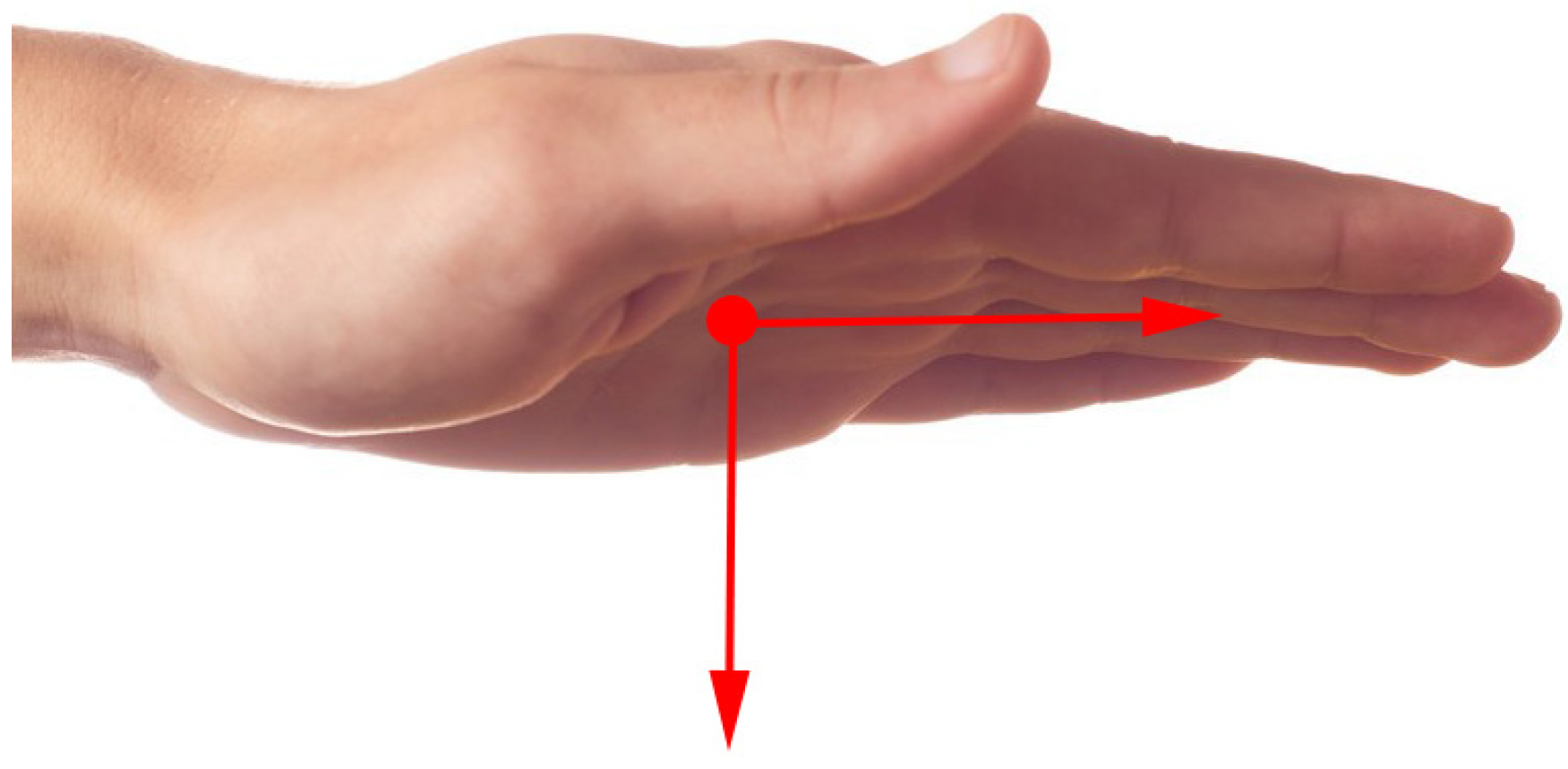 Biomimetics 10 00035 g003