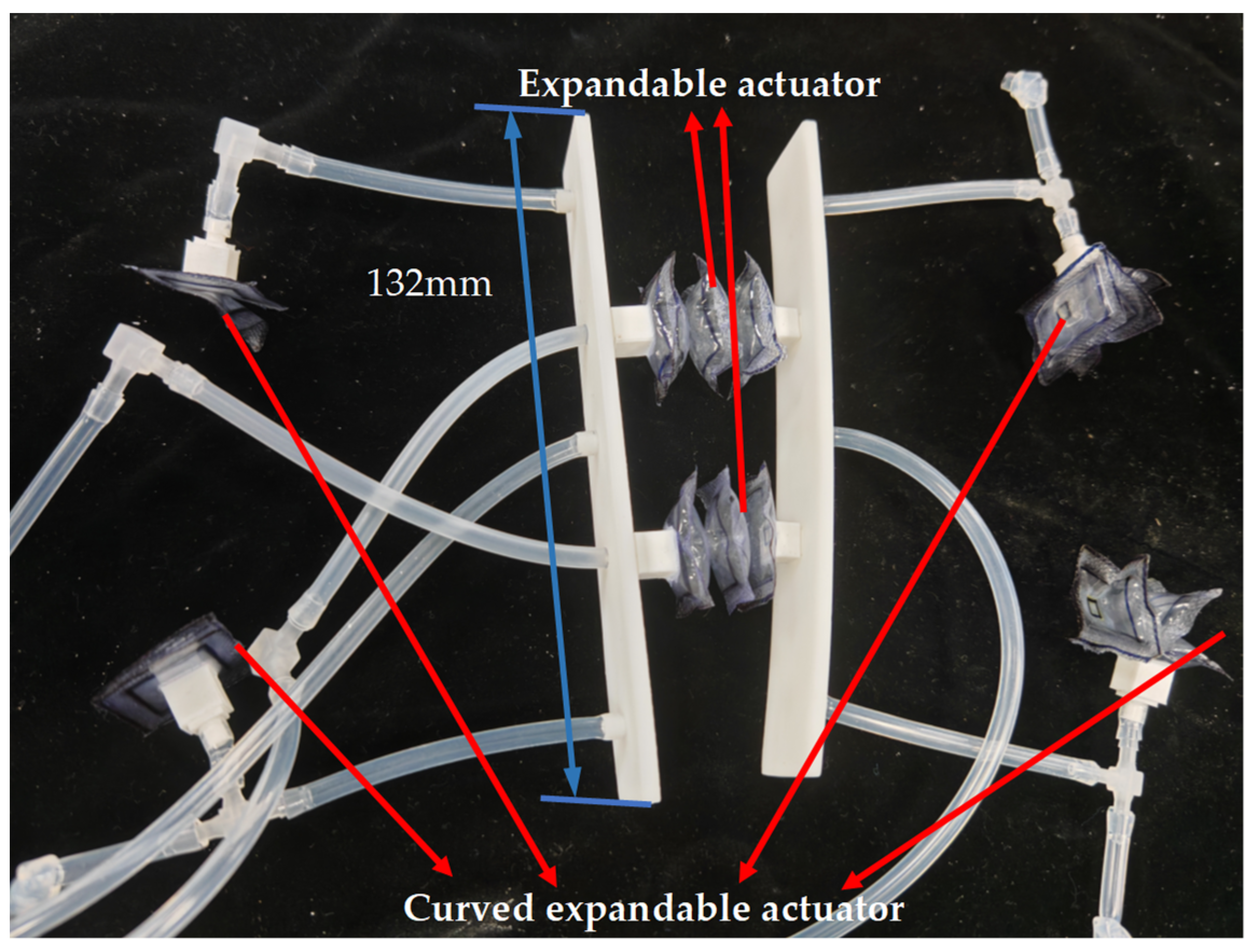 Biomimetics 10 00035 g011