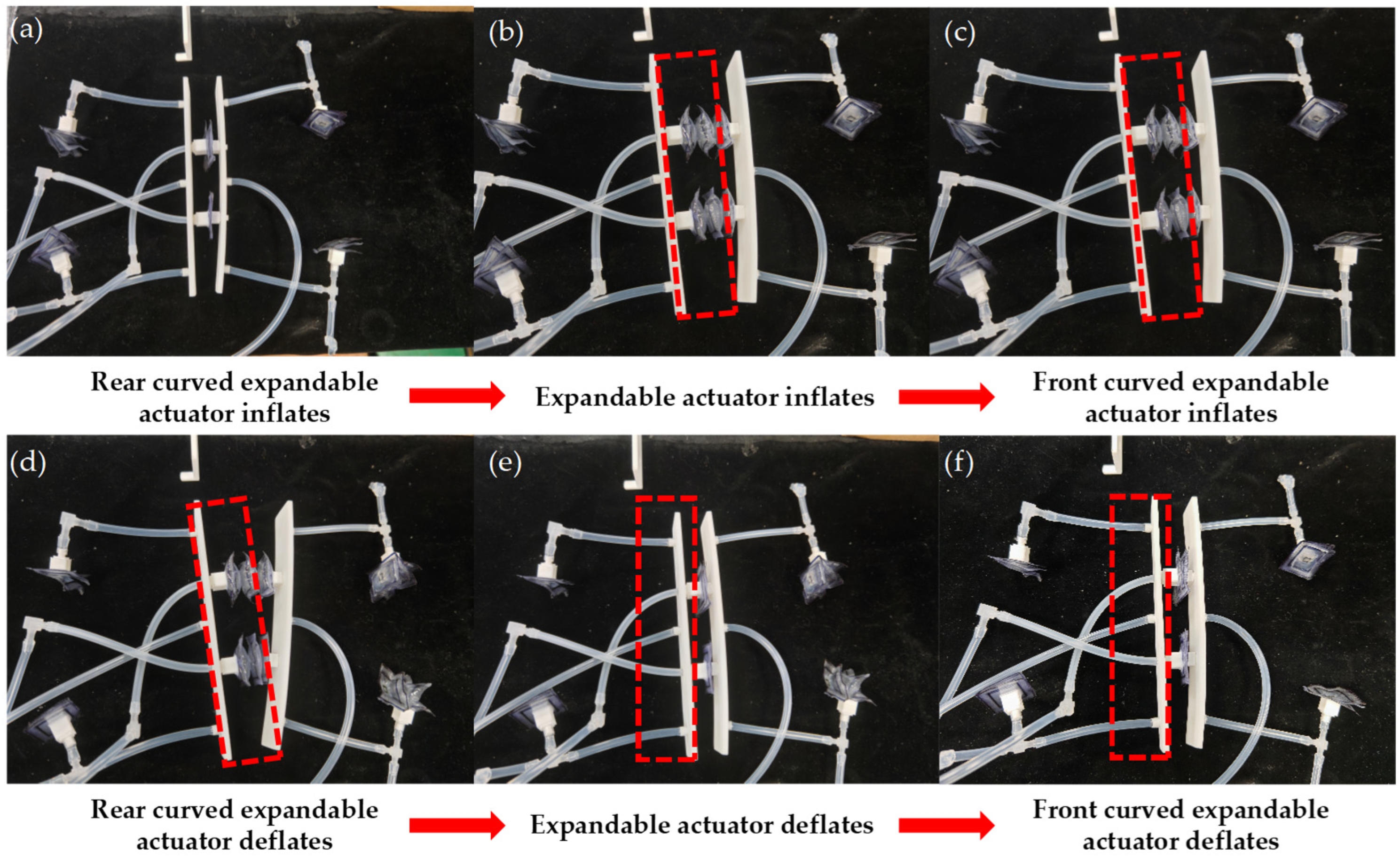 Biomimetics 10 00035 g012