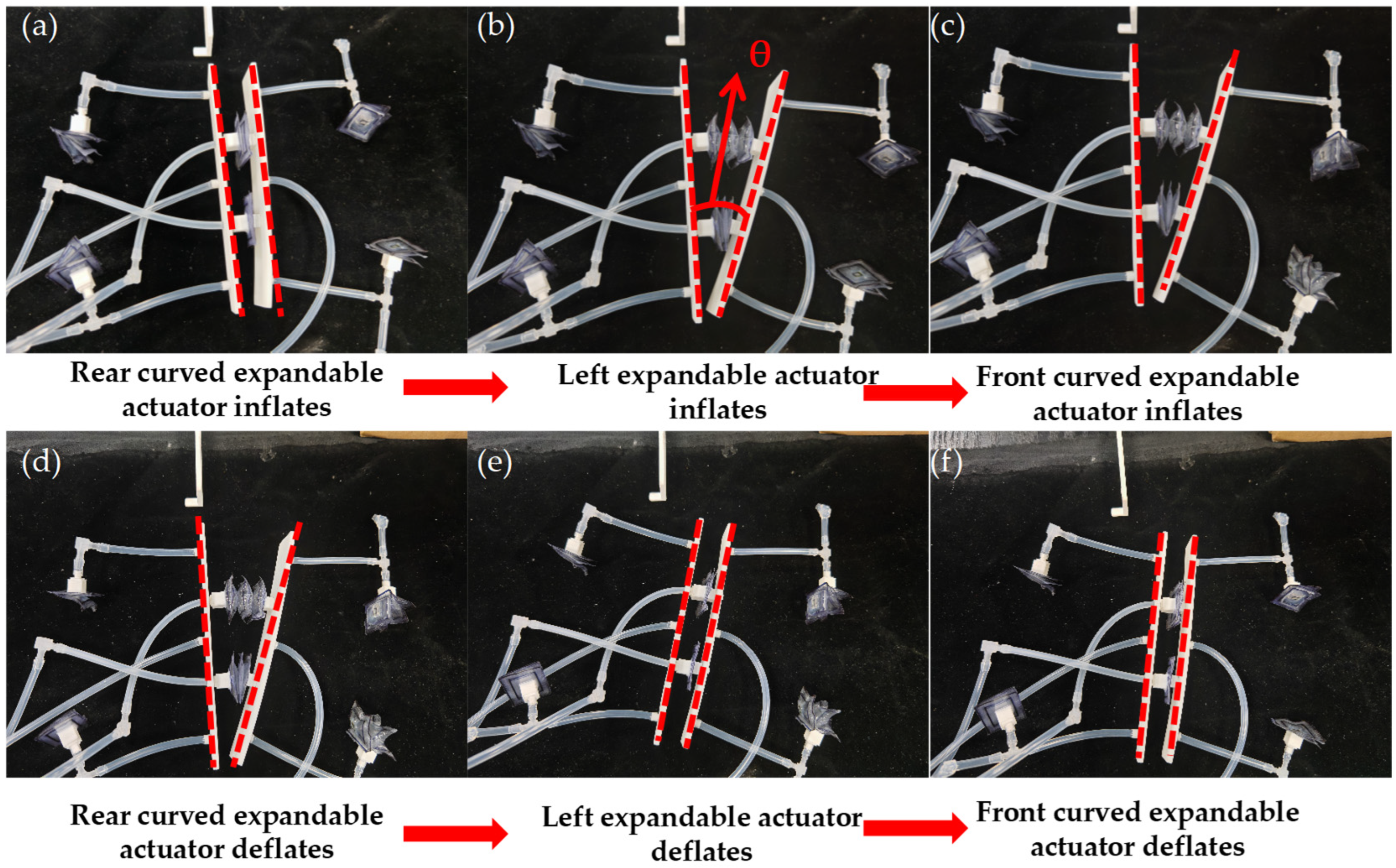 Biomimetics 10 00035 g013