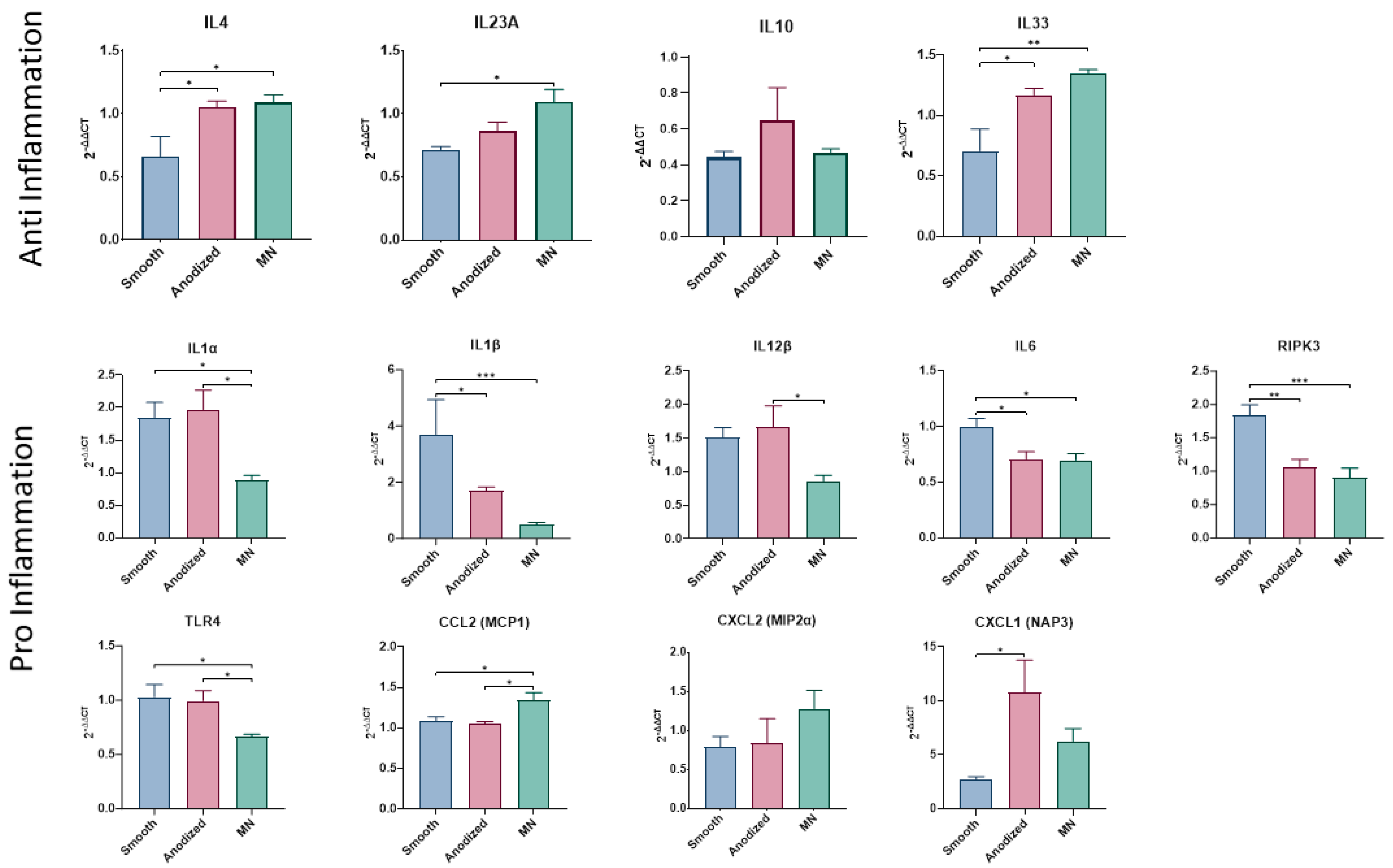 Biomimetics 10 00066 g005
