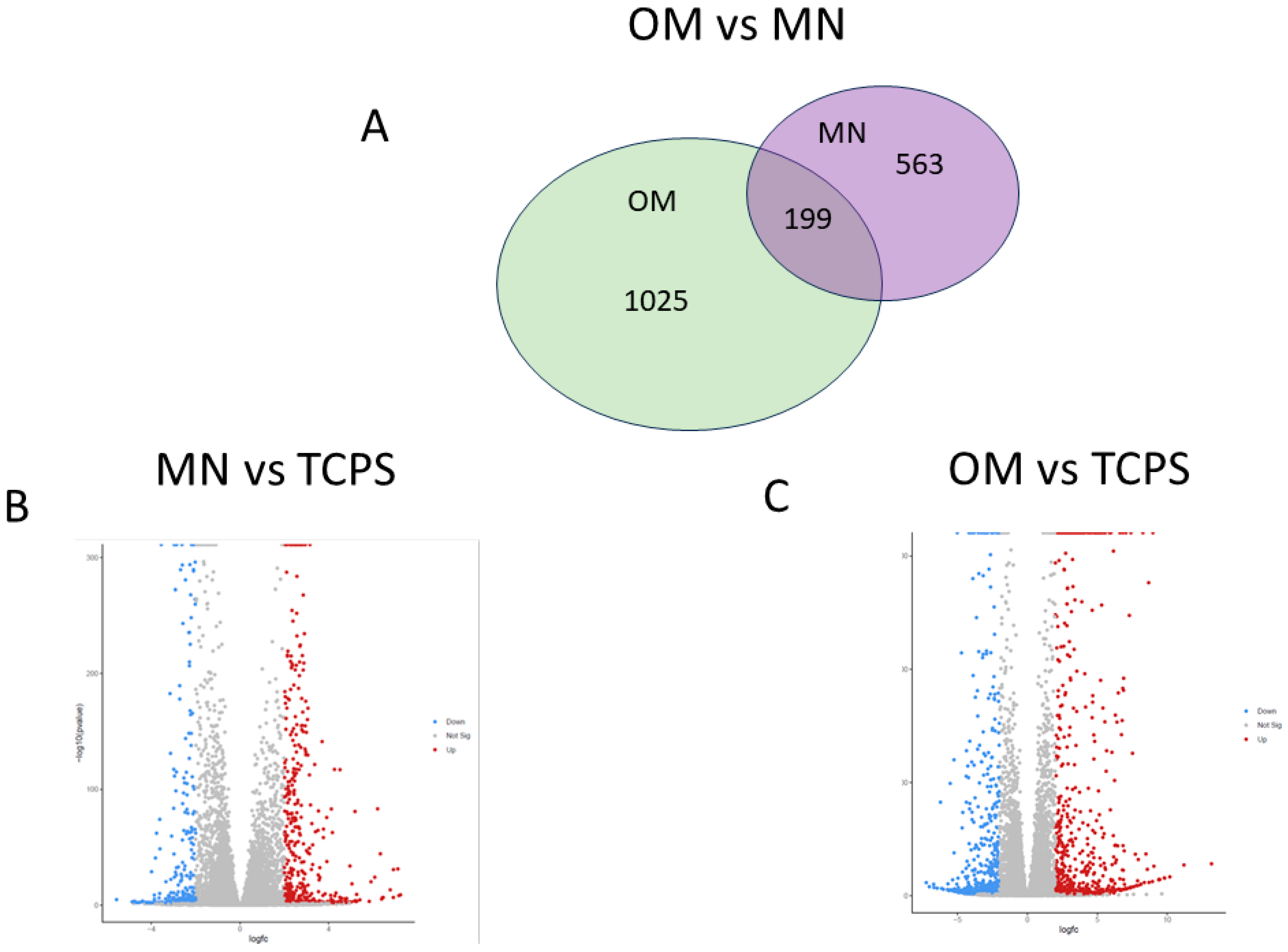 Biomimetics 10 00066 g008