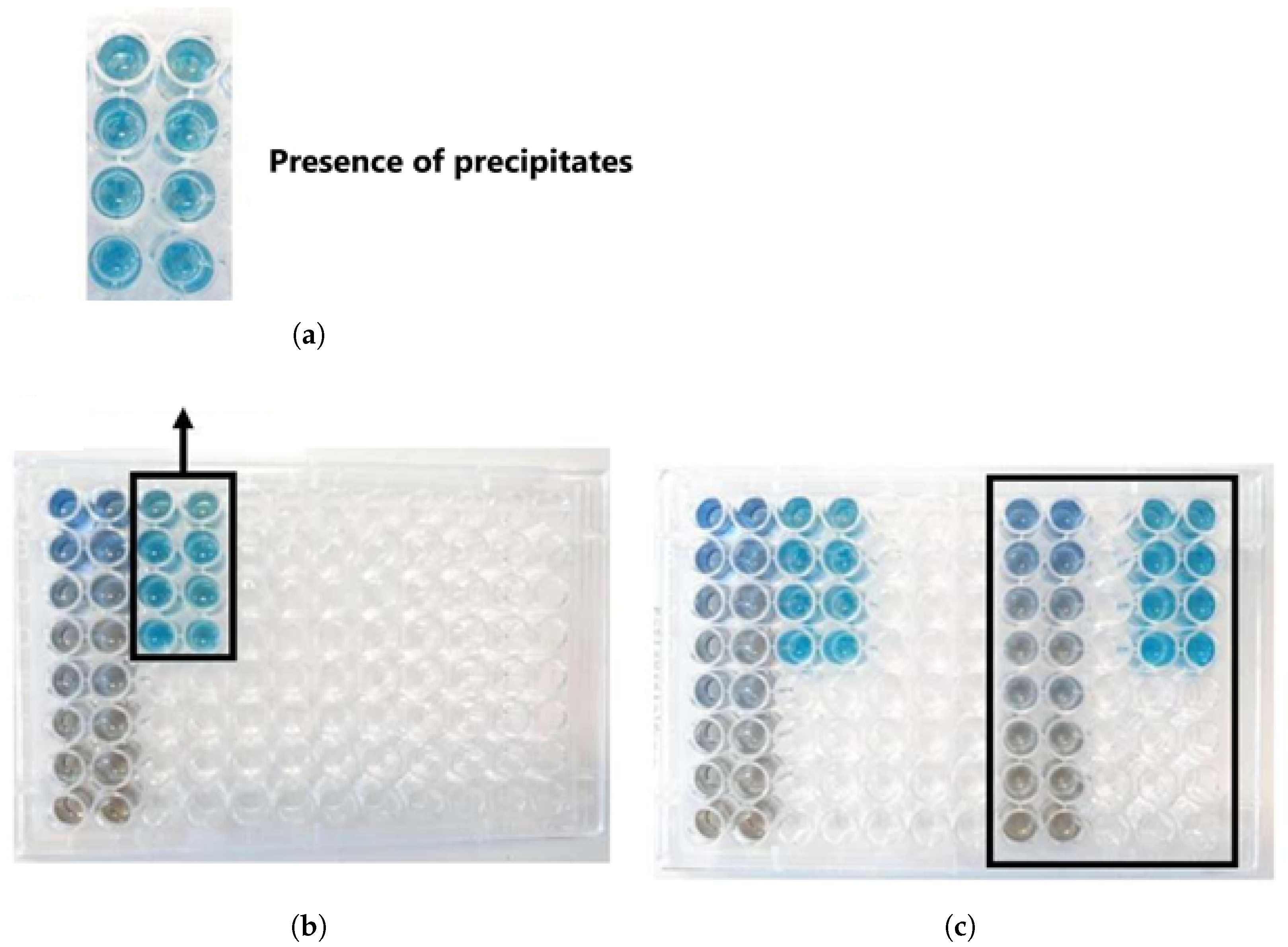 Biomimetics 10 00085 g006