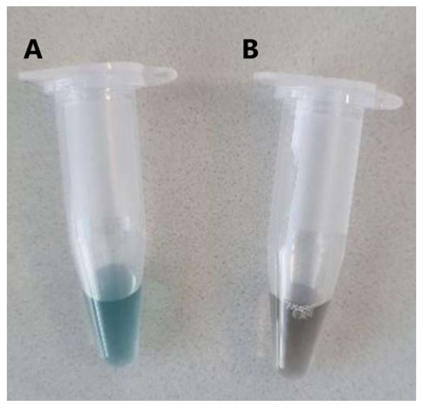 Biomimetics 10 00085 g009