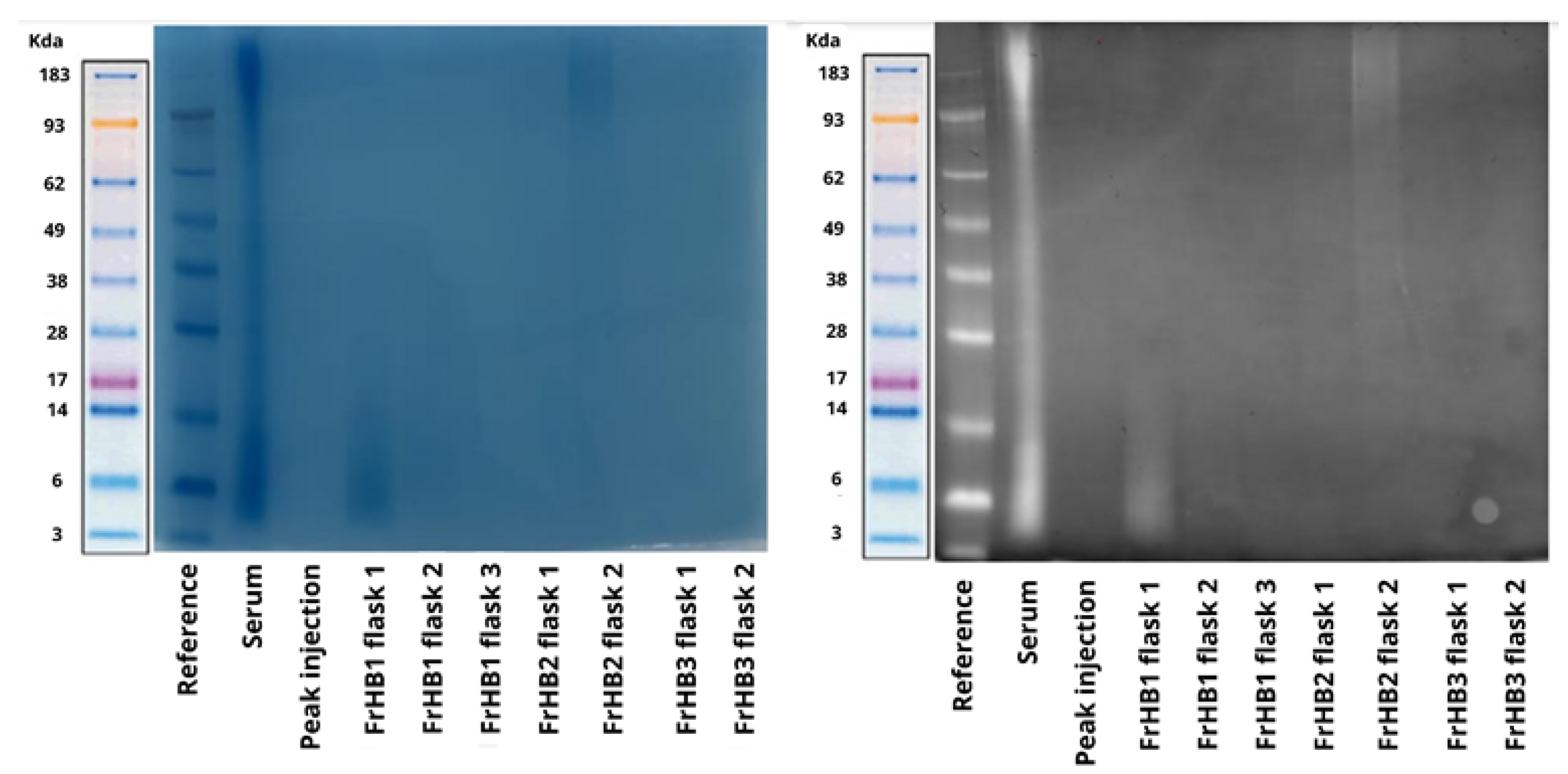Biomimetics 10 00085 g015