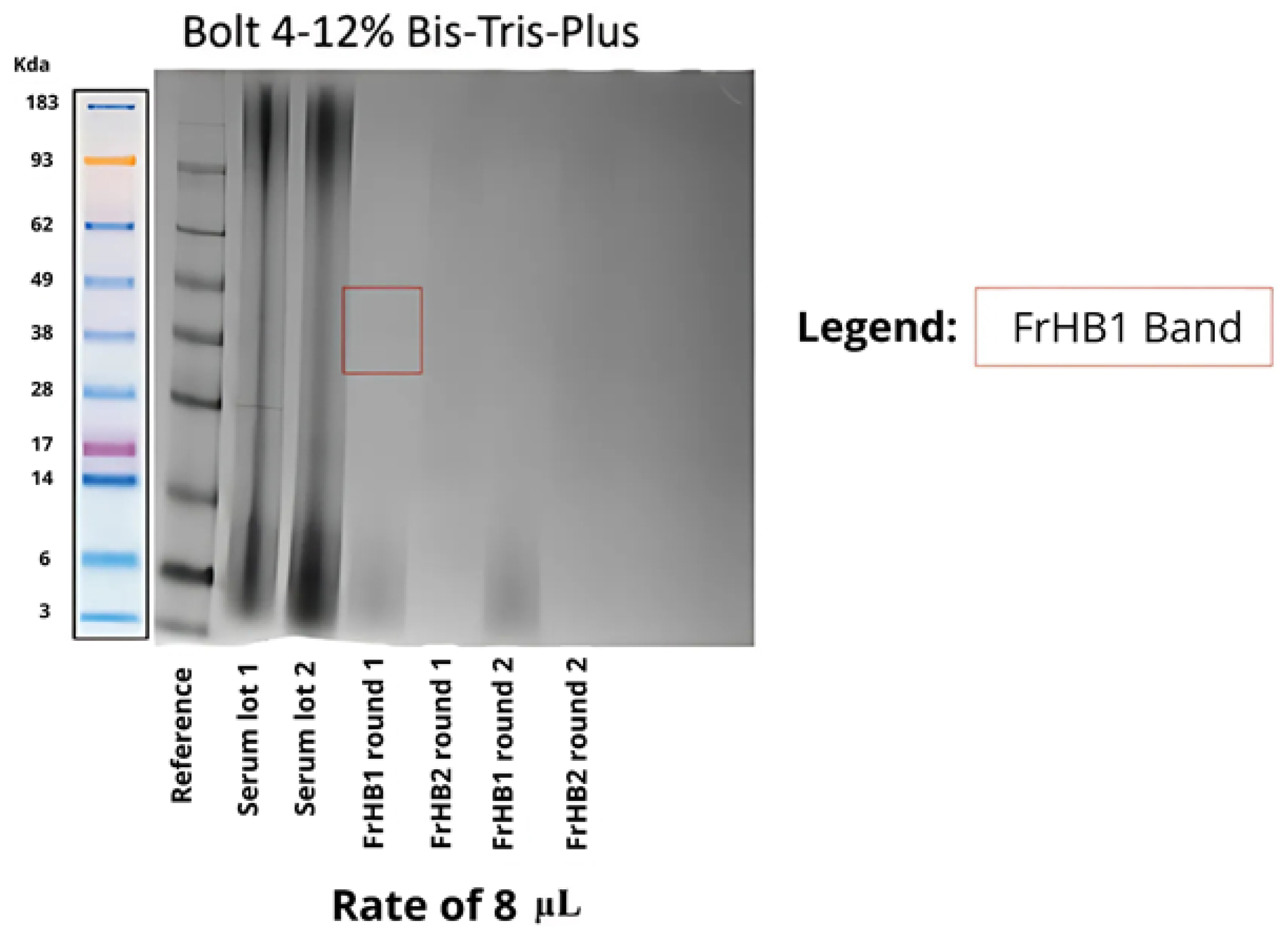 Biomimetics 10 00085 g018