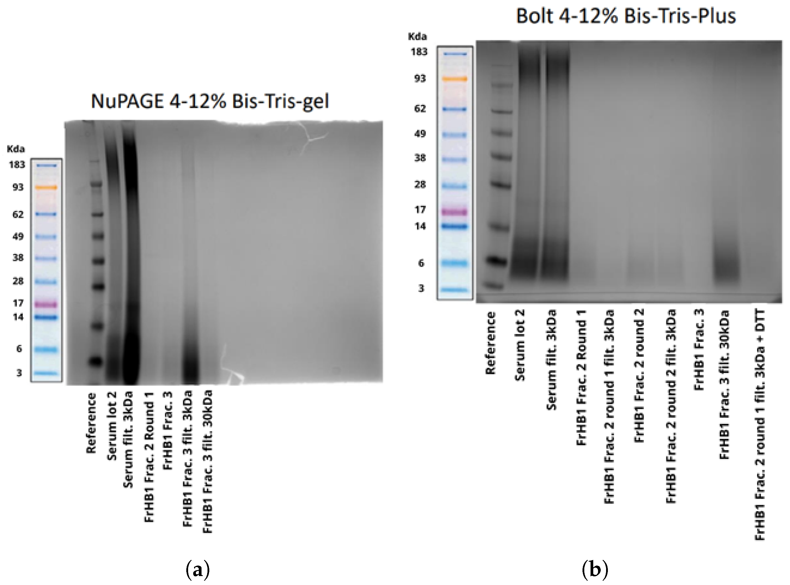 Biomimetics 10 00085 g021
