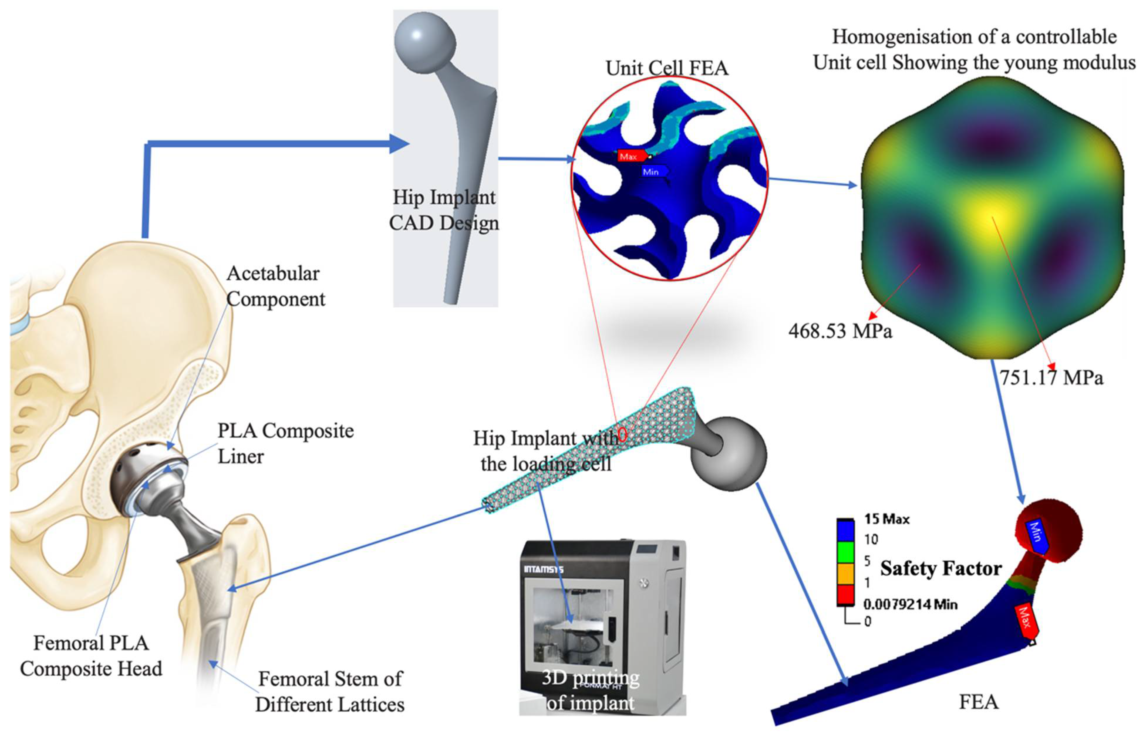 Biomimetics 10 00088 g002