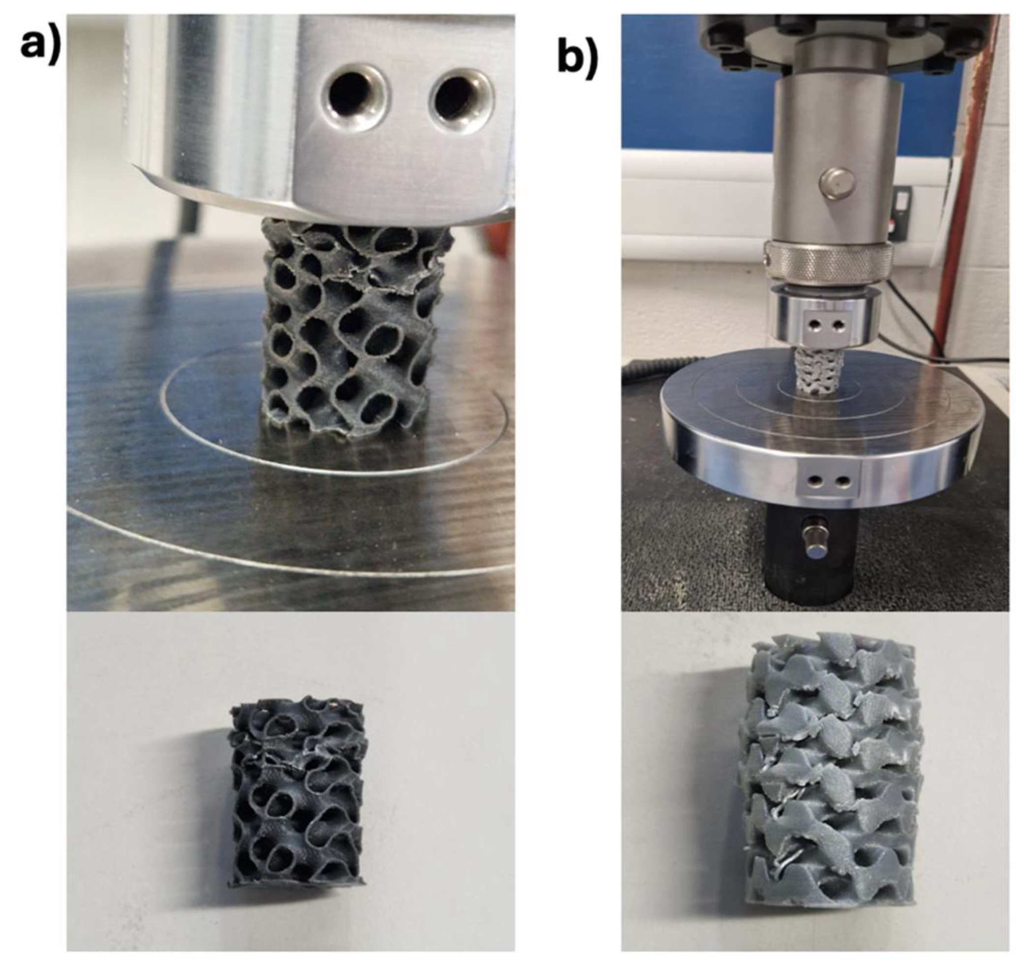 Biomimetics 10 00088 g003