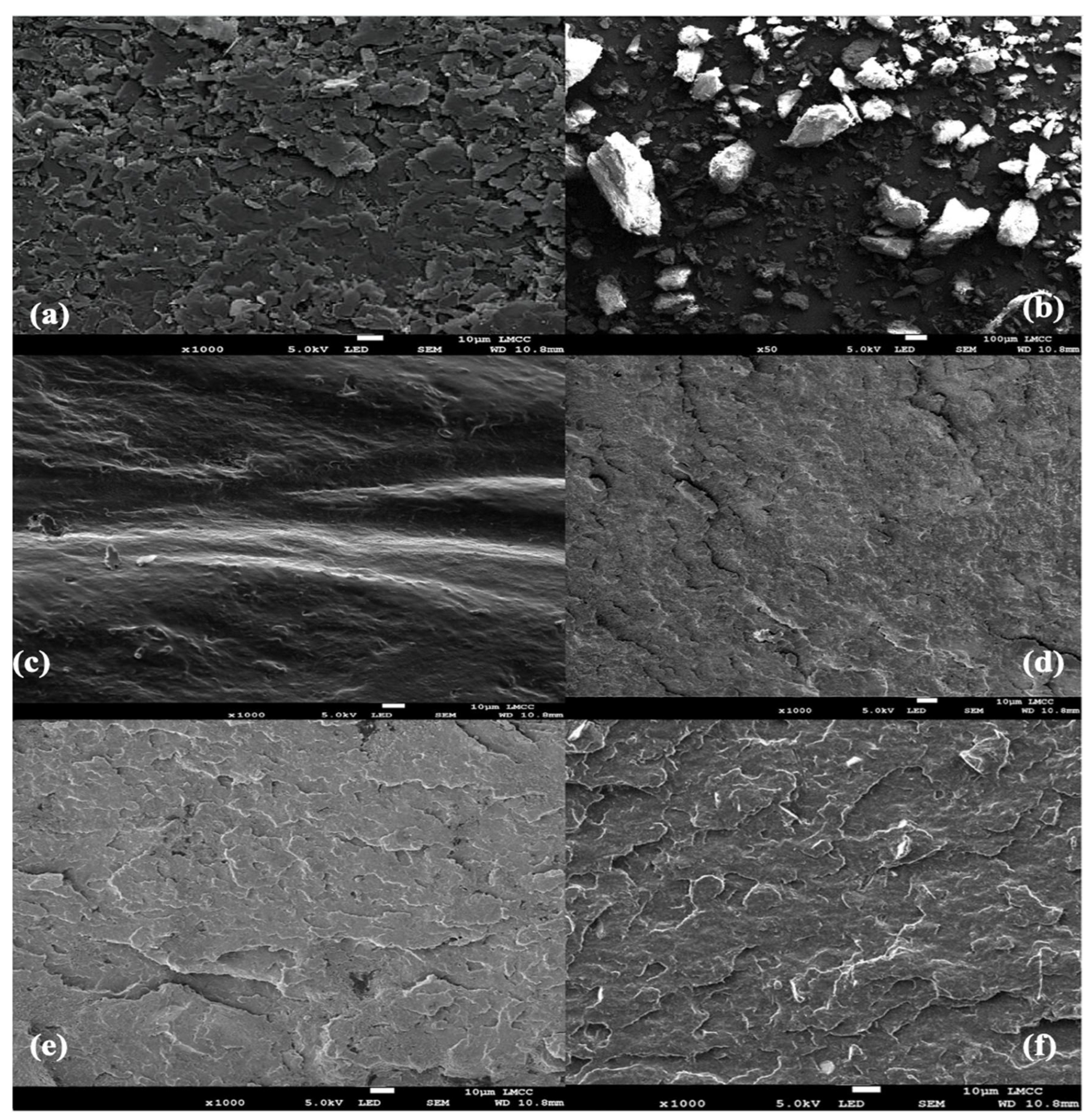 Biomimetics 10 00088 g011