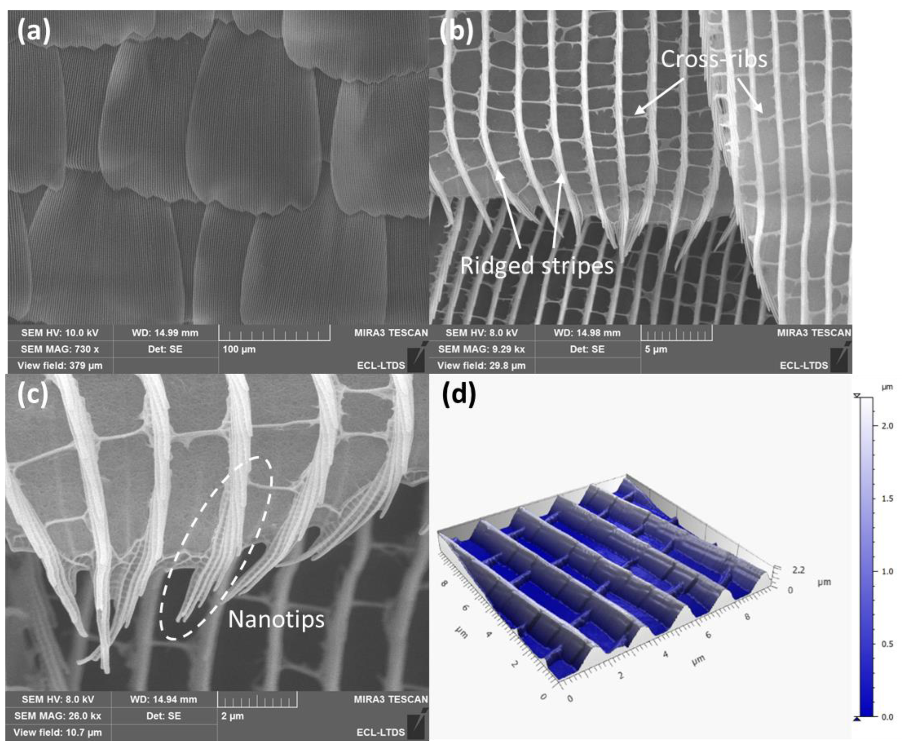 Biomimetics 10 00089 g005