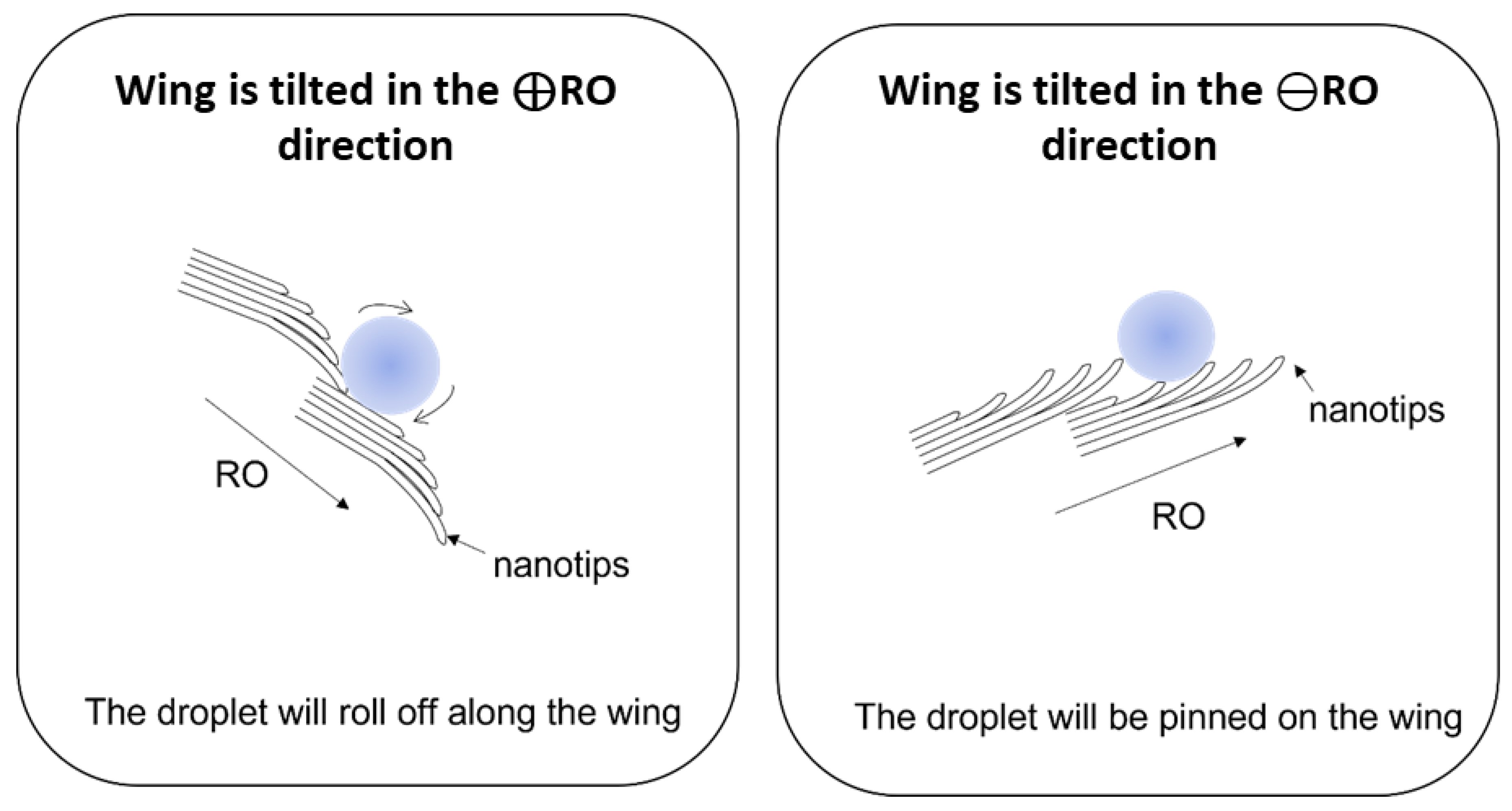 Biomimetics 10 00089 g006