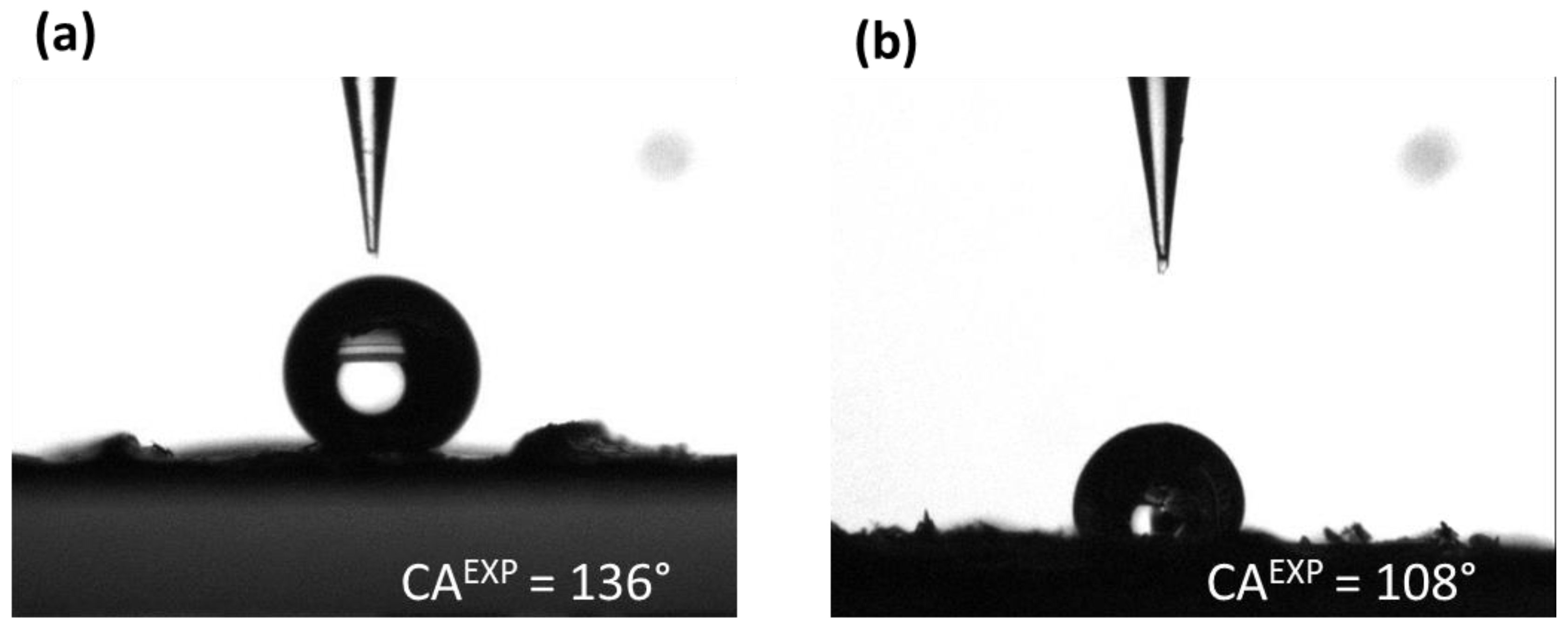 Biomimetics 10 00089 g010