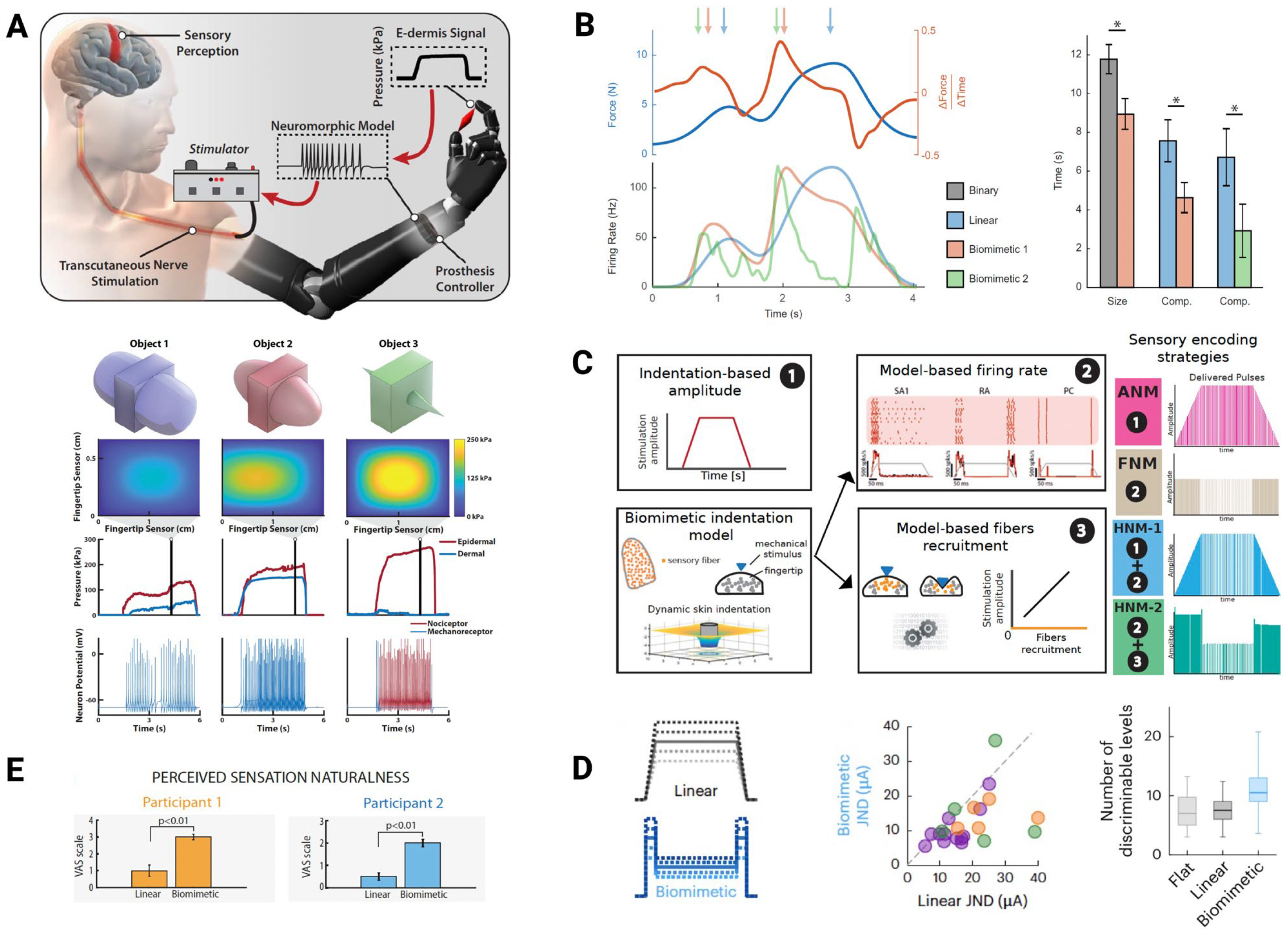 Biomimetics 10 00130 g001