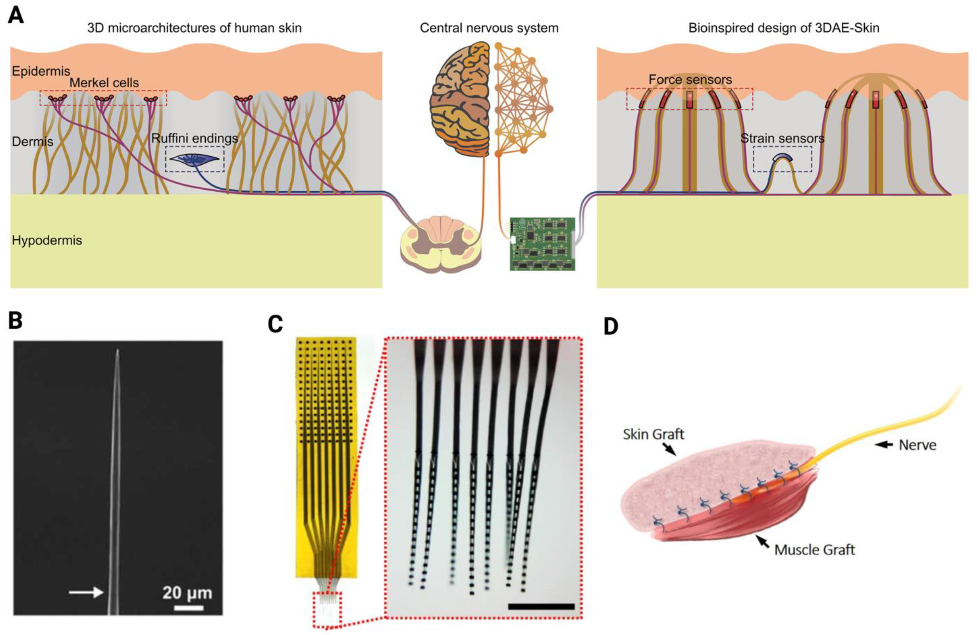 Biomimetics 10 00130 g003