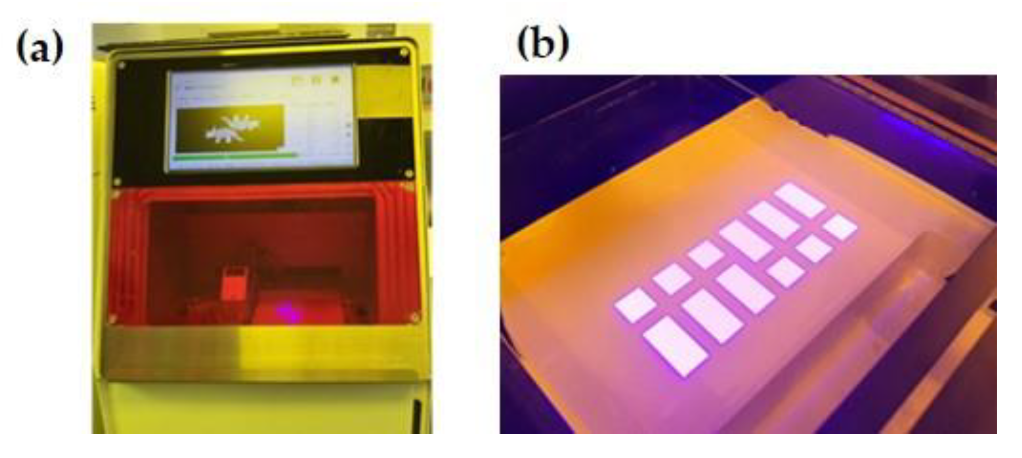Biomimetics 10 00140 g002