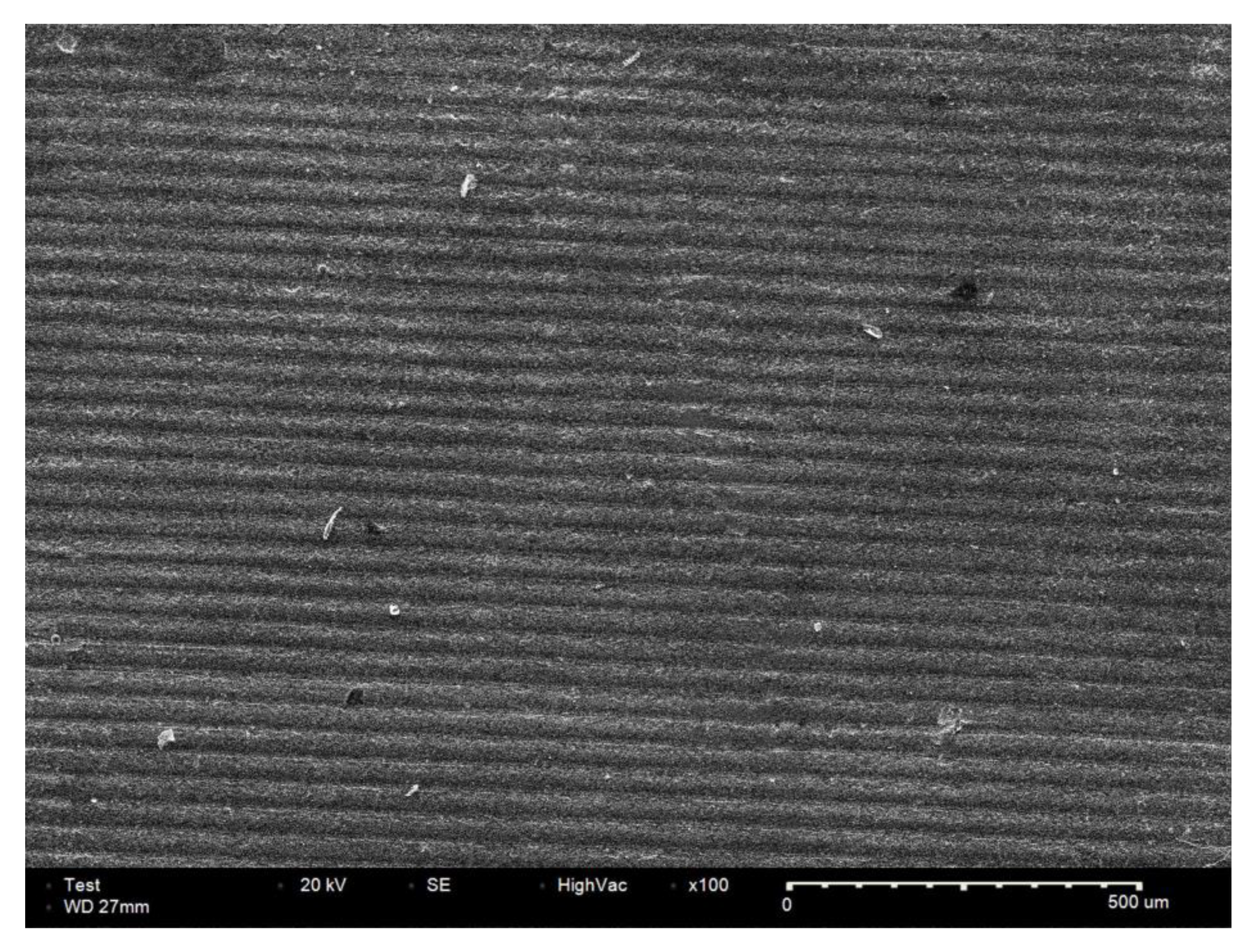 Biomimetics 10 00140 g006