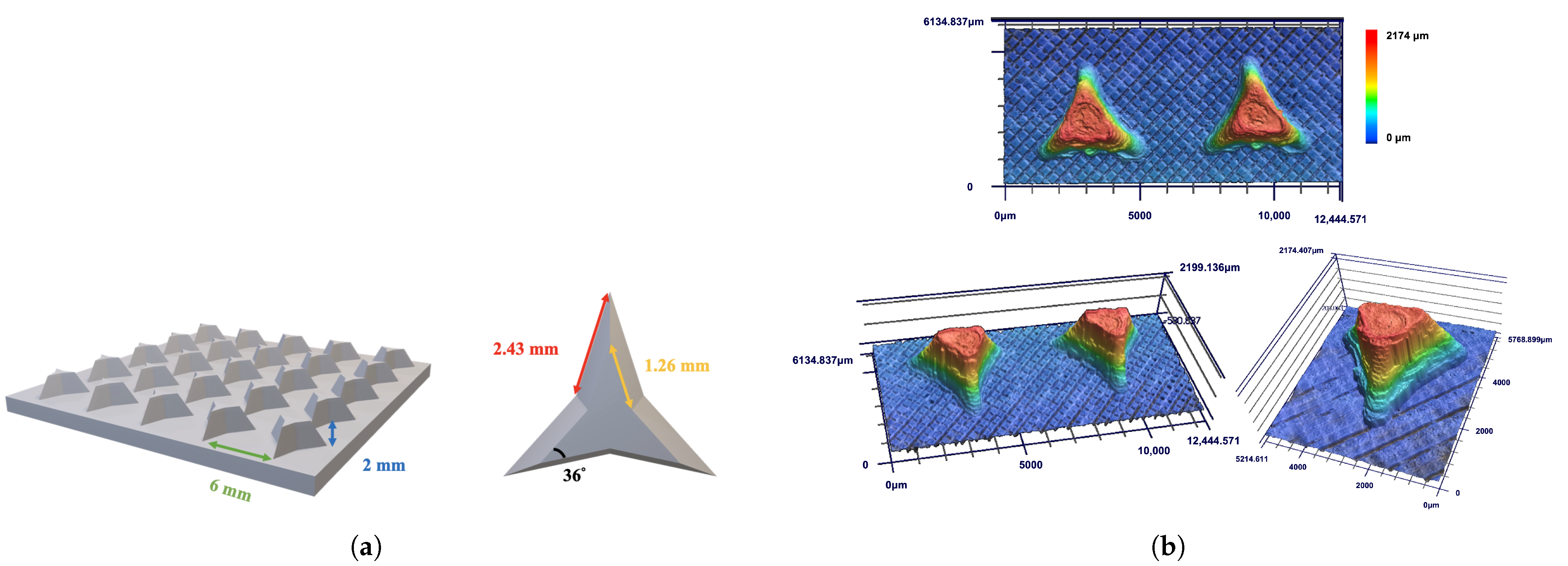 Biomimetics 10 00143 g009