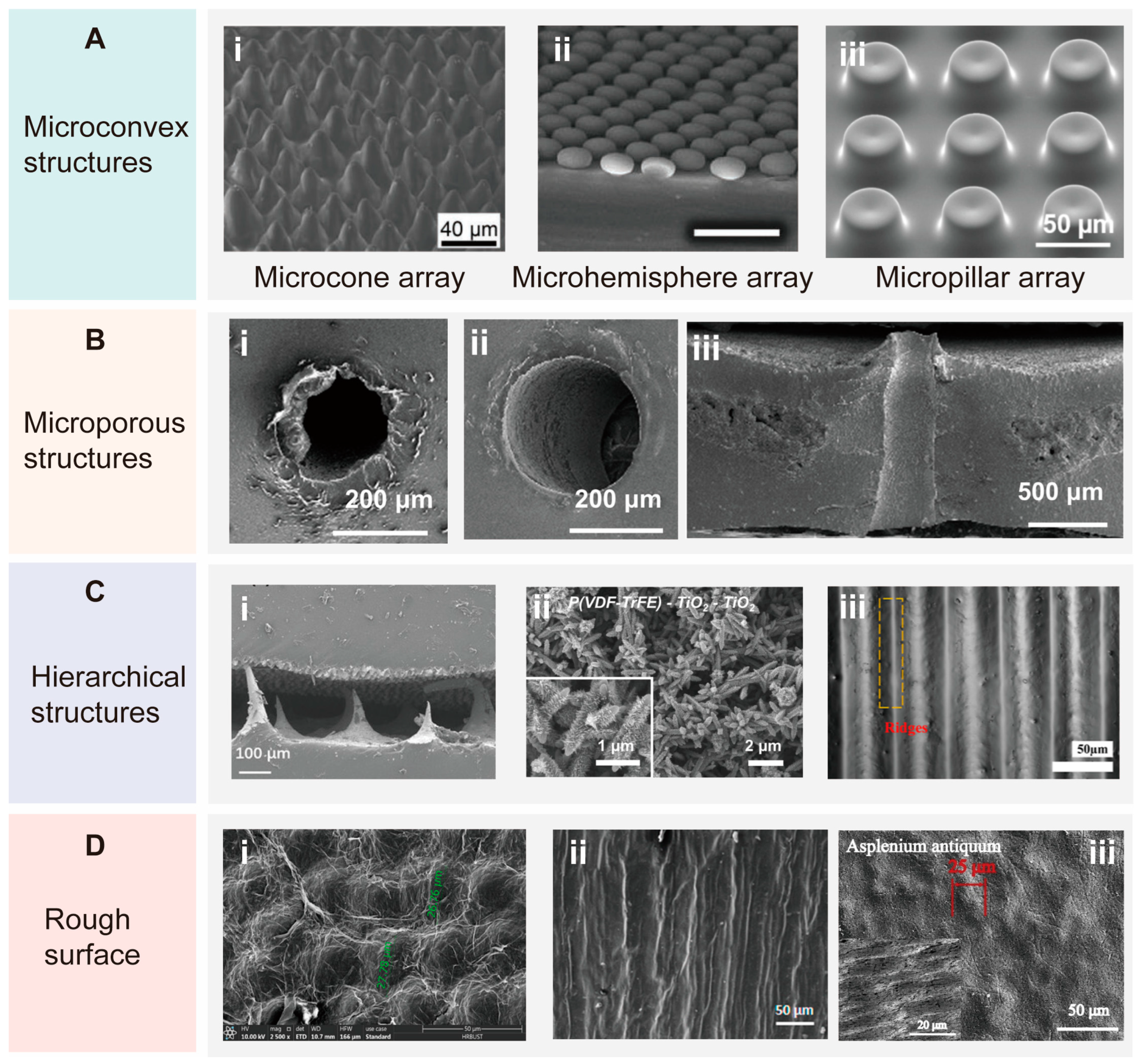 Biomimetics 10 00147 g006