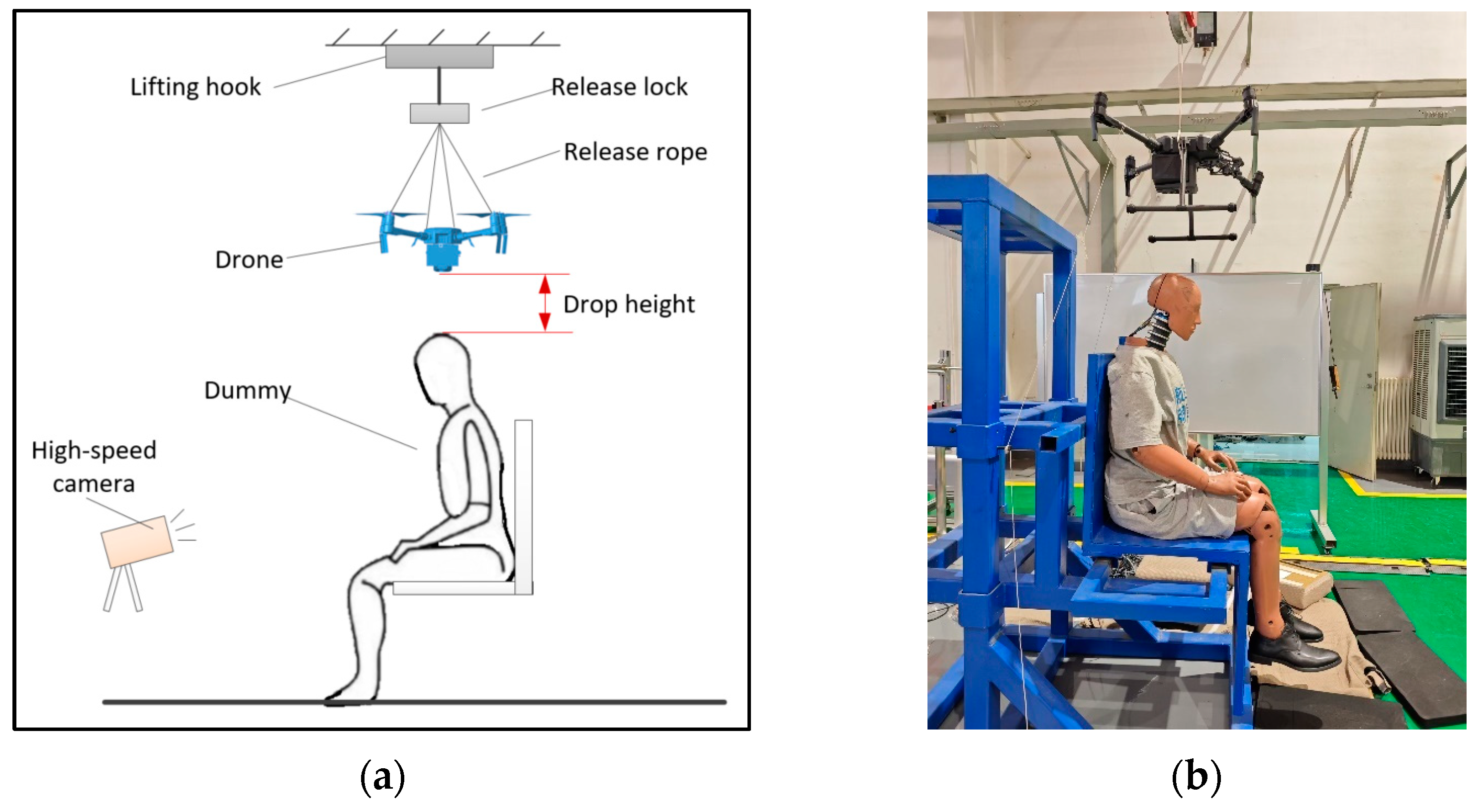 Biomimetics 10 00157 g001