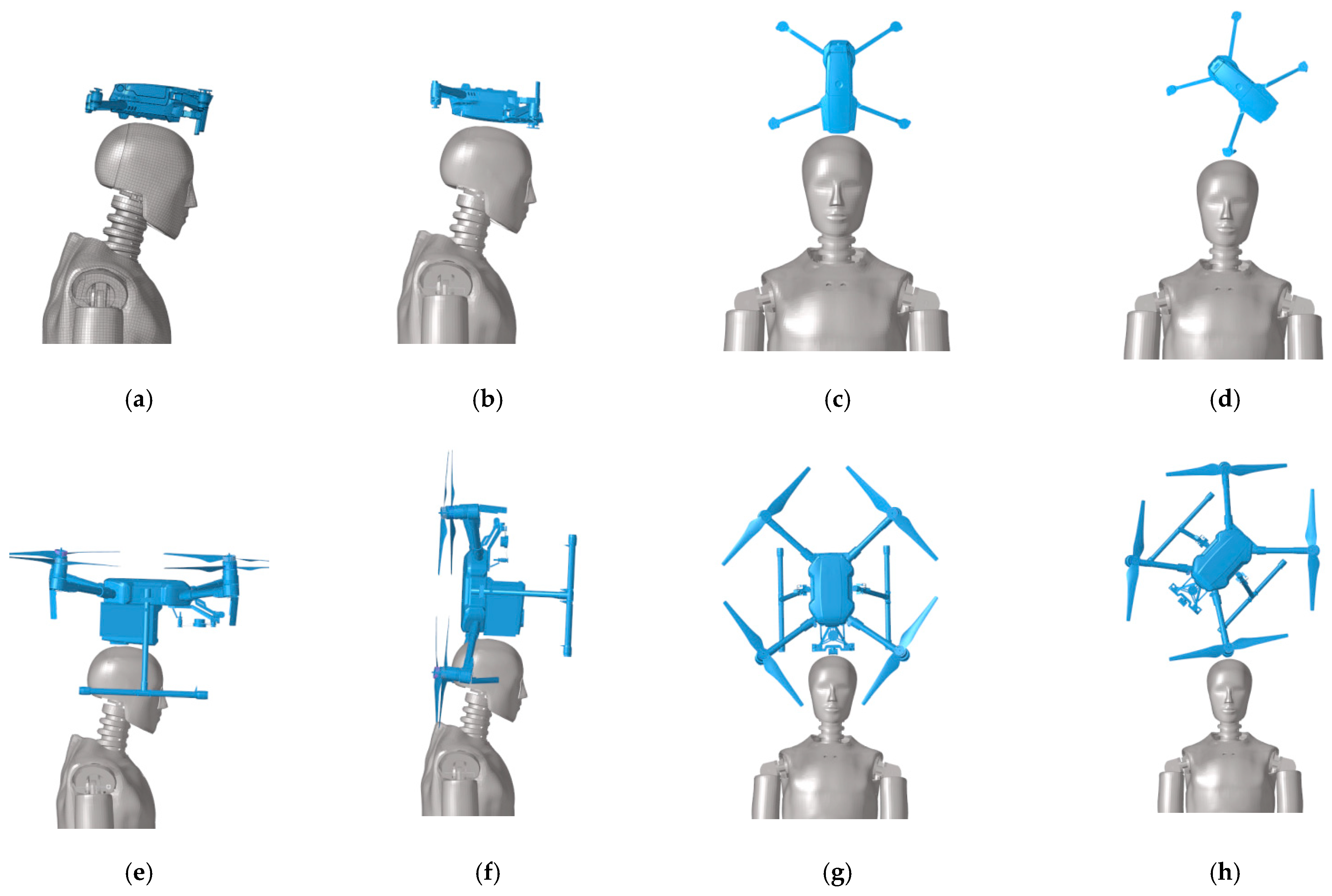 Biomimetics 10 00157 g002