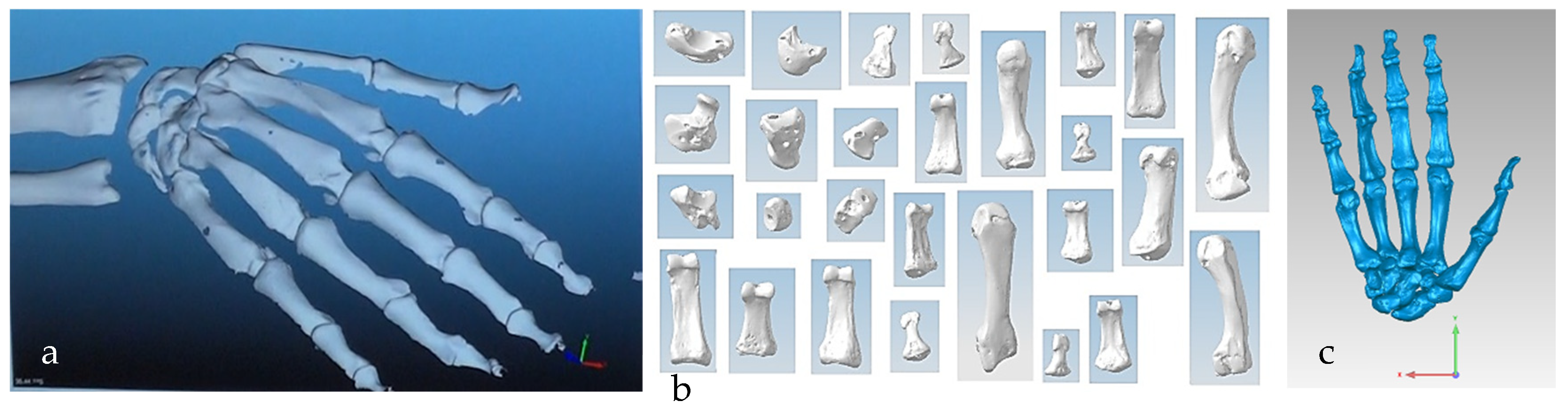 Biomimetics 10 00158 g013