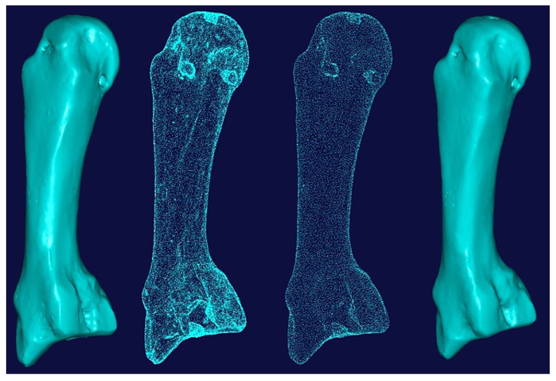 Biomimetics 10 00158 g014