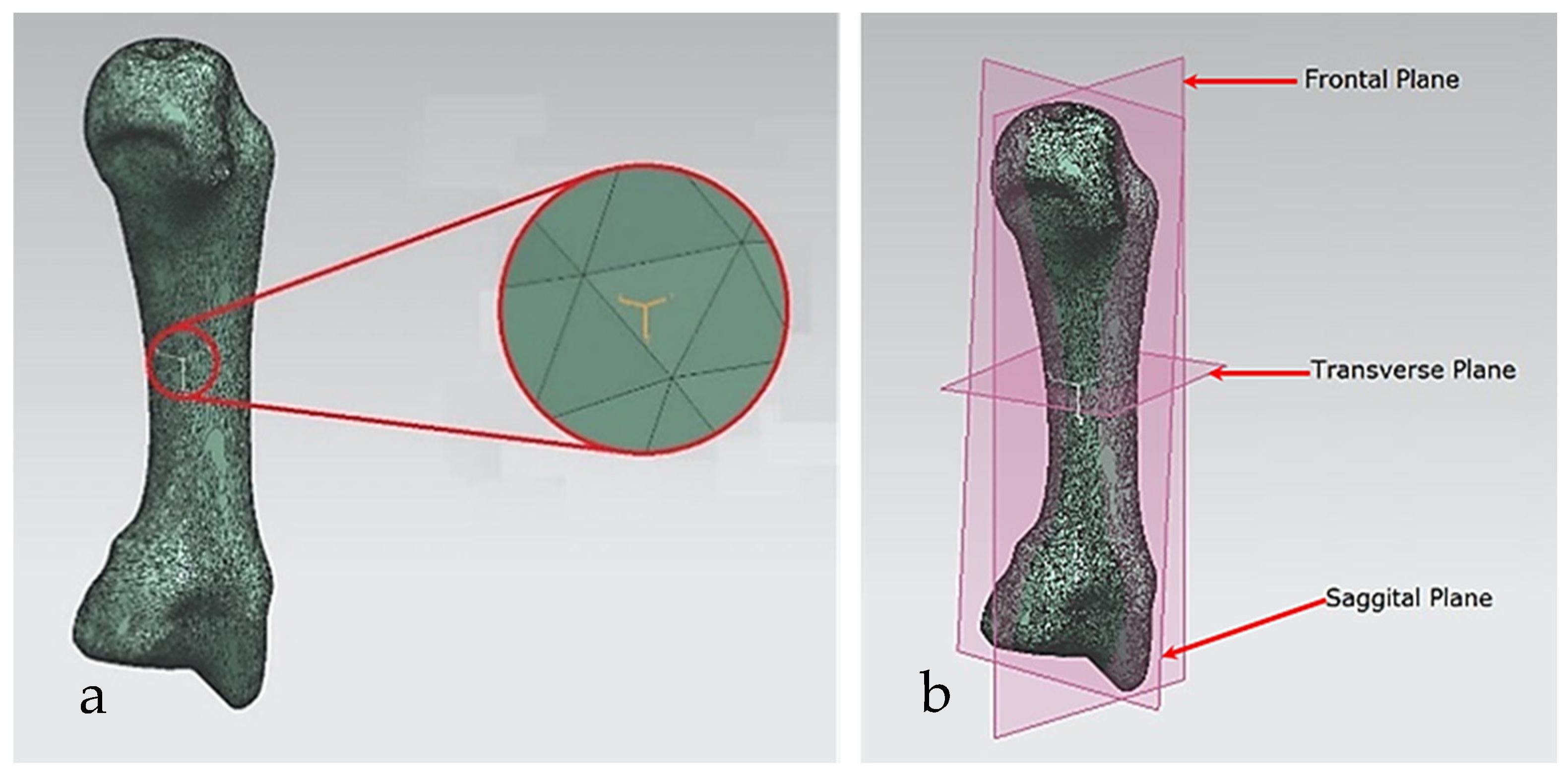 Biomimetics 10 00158 g015