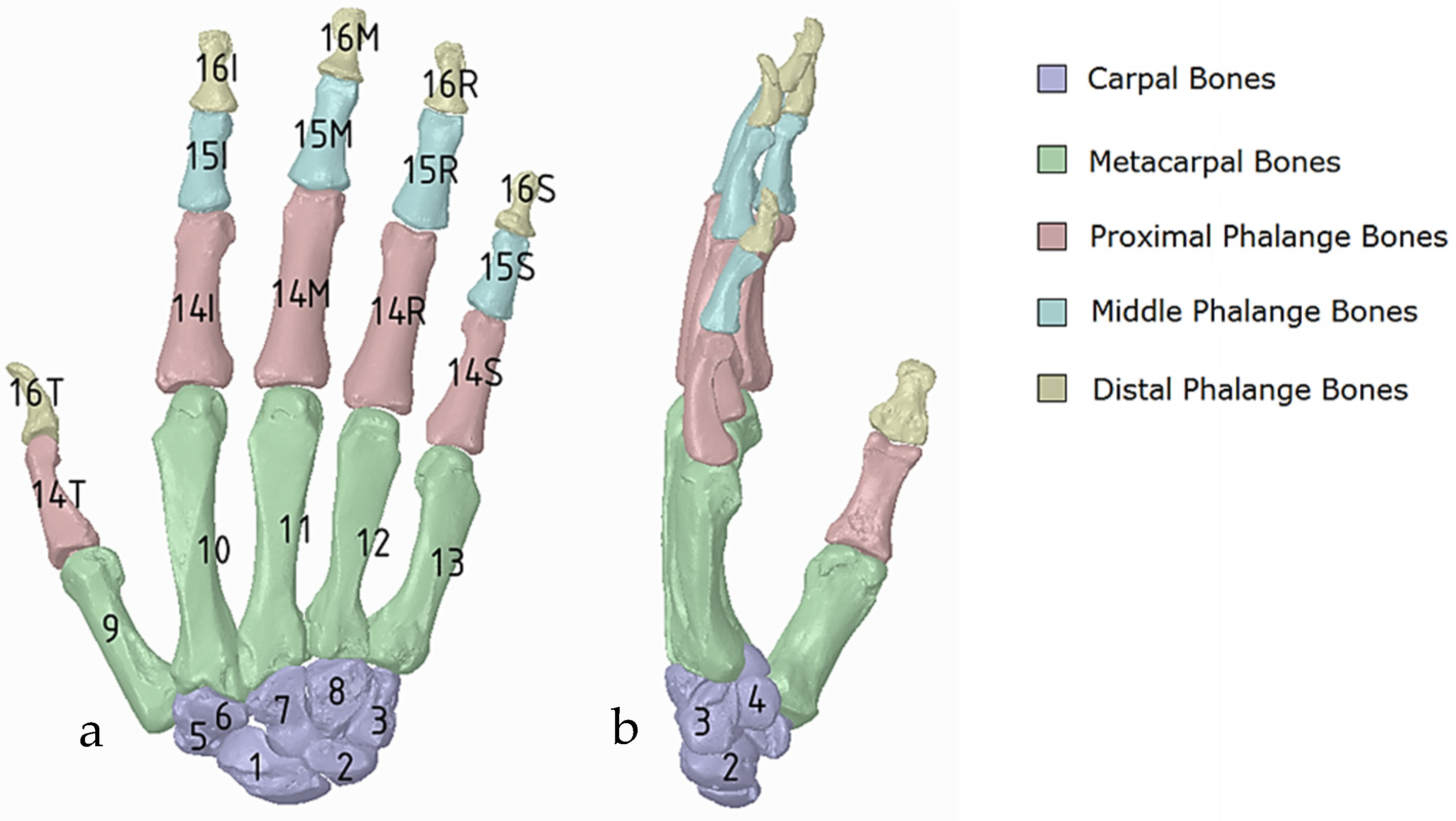 Biomimetics 10 00158 g019